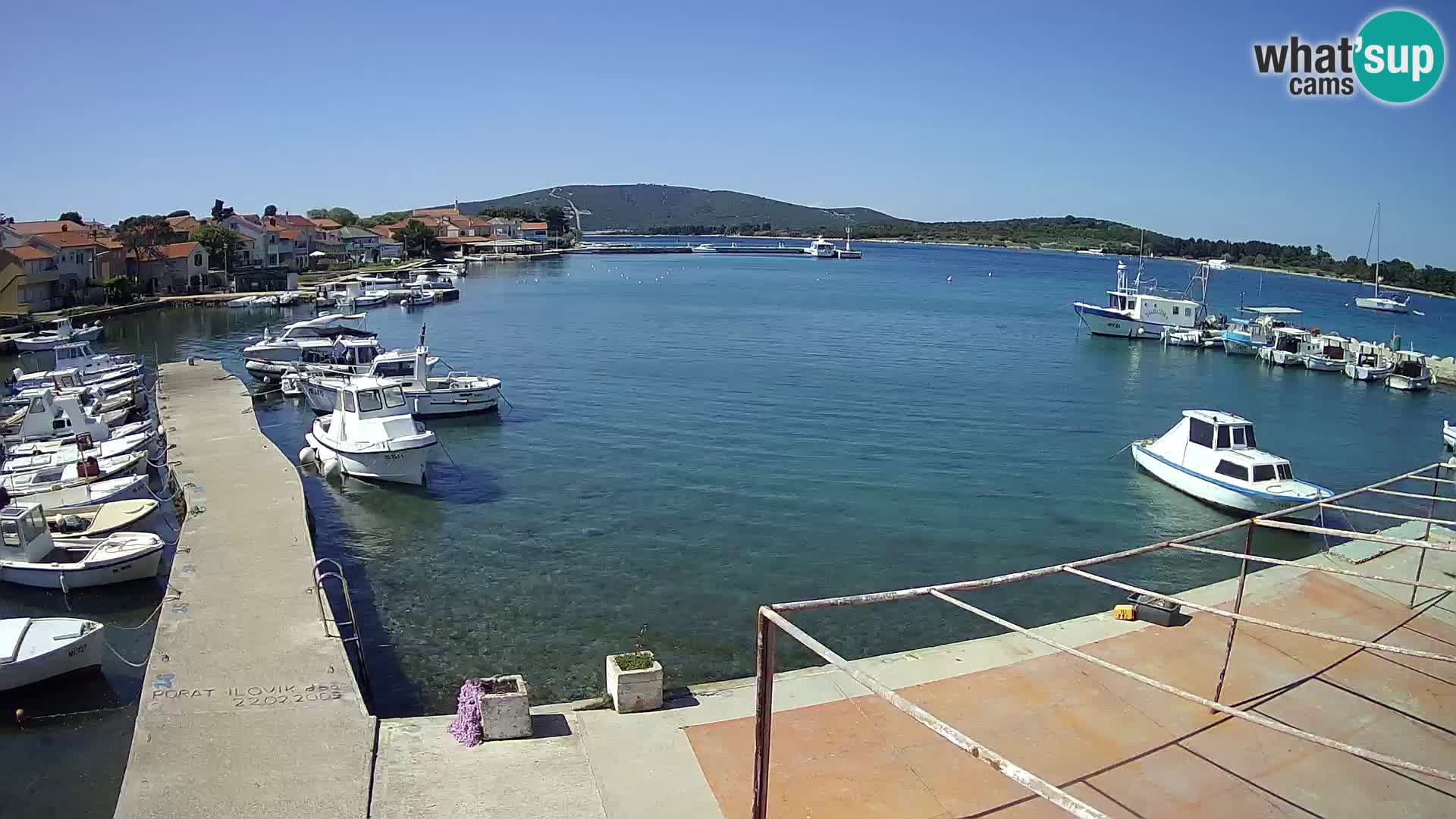Webcam Ilovik – Sveti Petar
