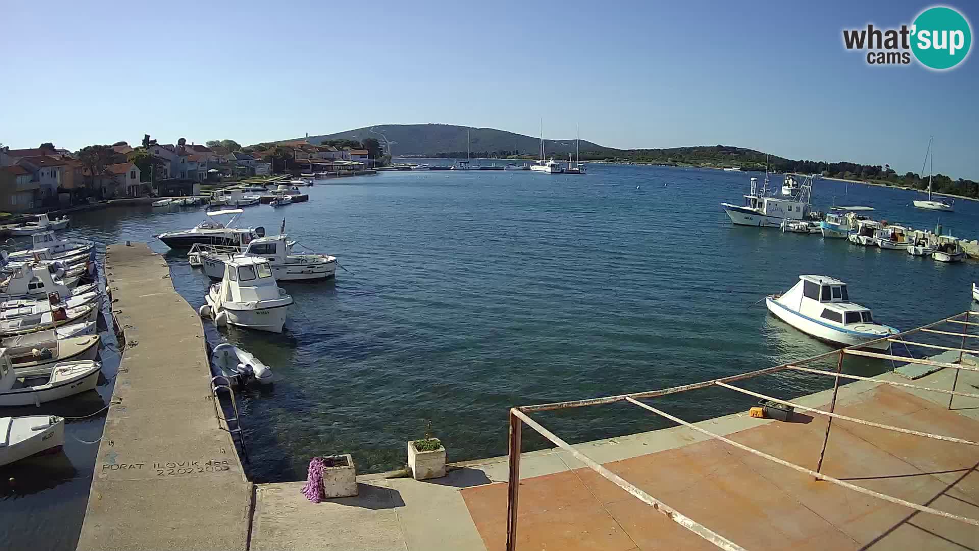 Camera en vivo Ilovik – Sveti Petar