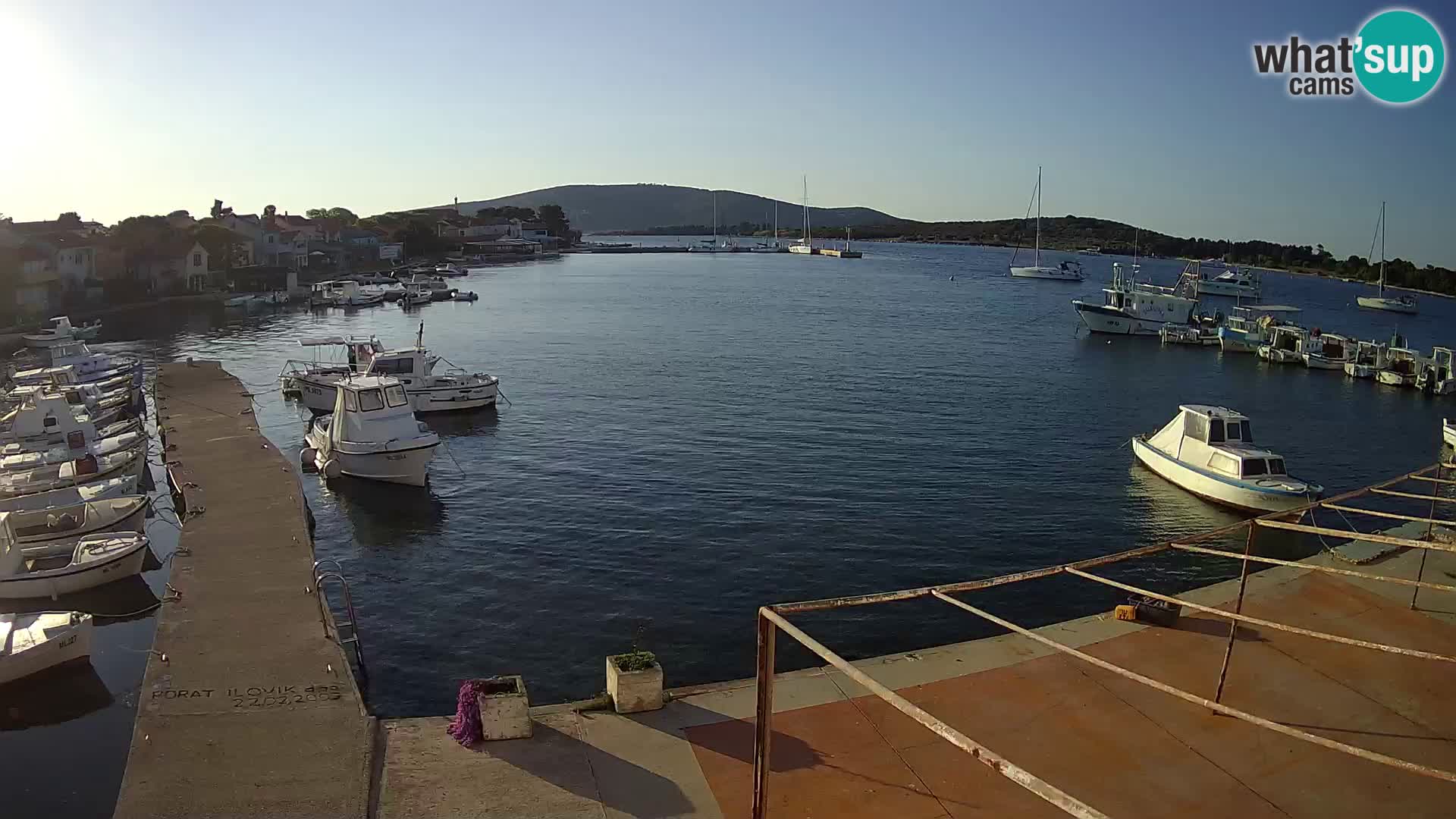 Livecam Asinello – San Piero