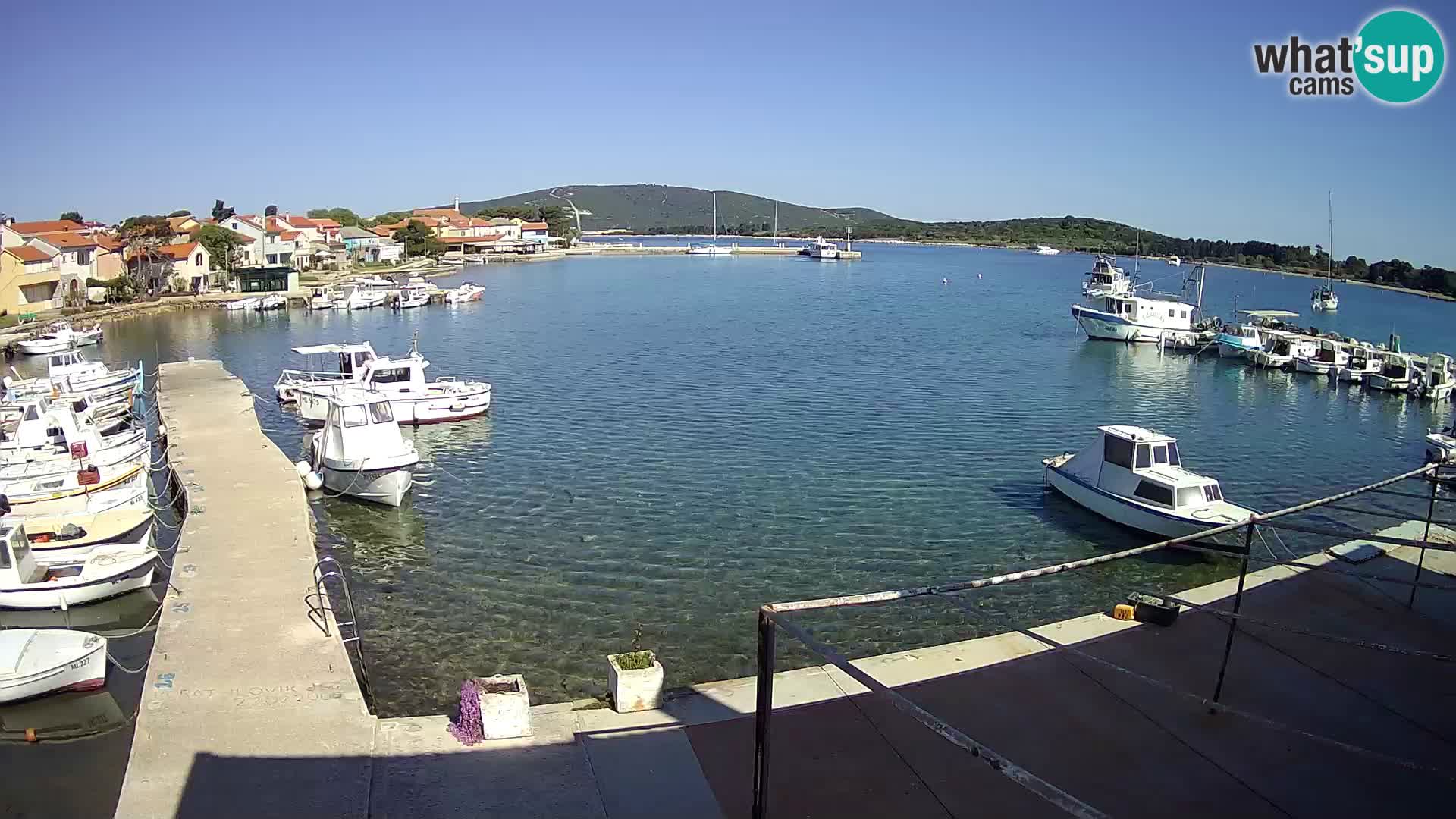 Live cam Ilovik – Sveti Petar