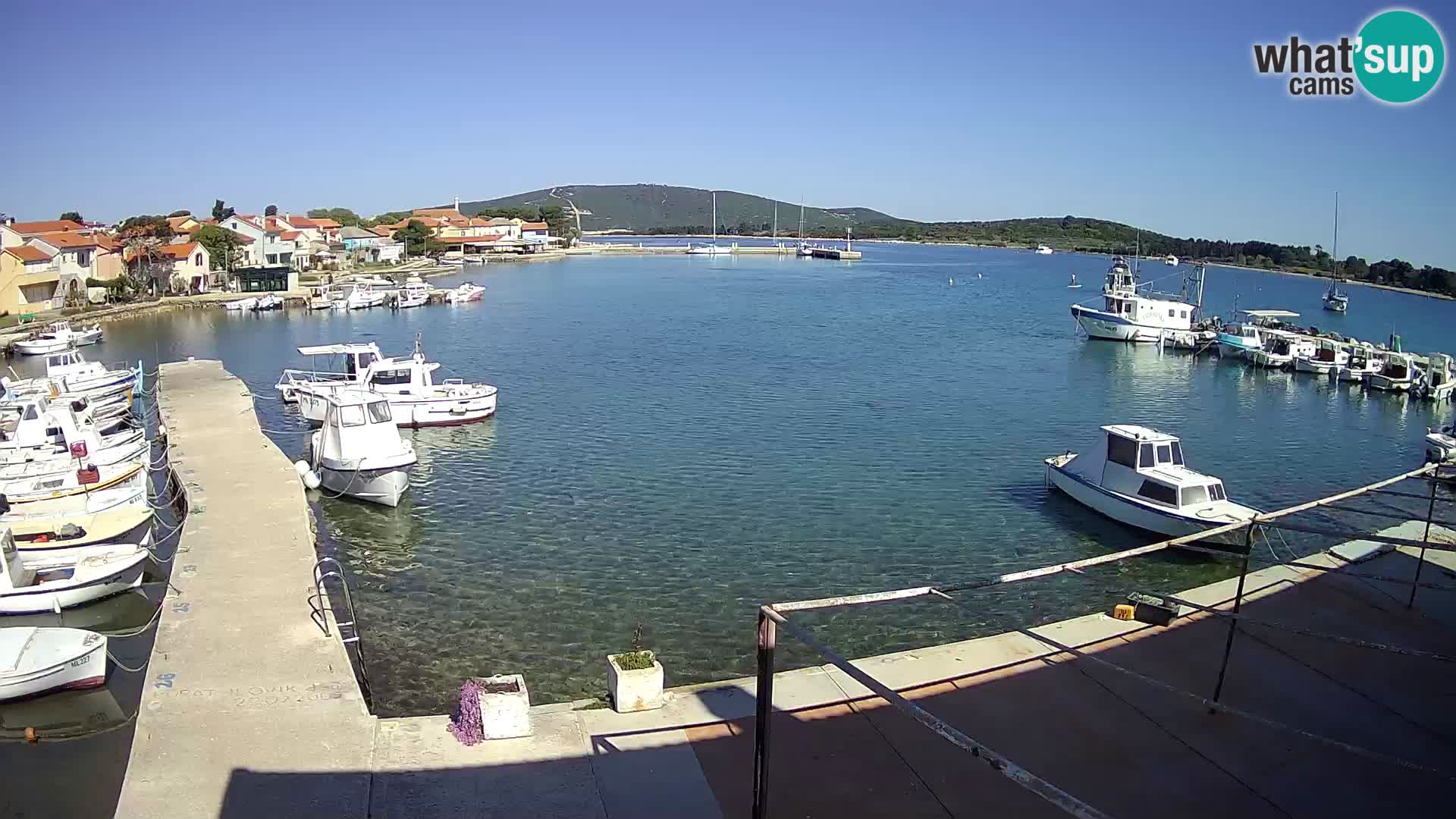 Camera en vivo Ilovik – Sveti Petar