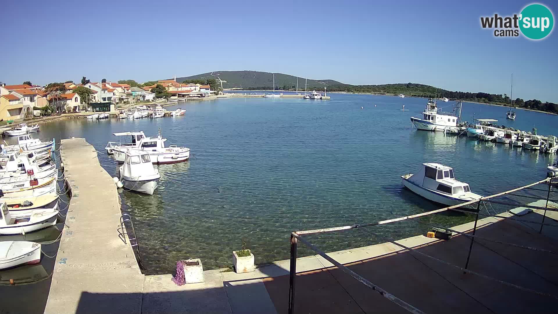 Camera en vivo Ilovik – Sveti Petar