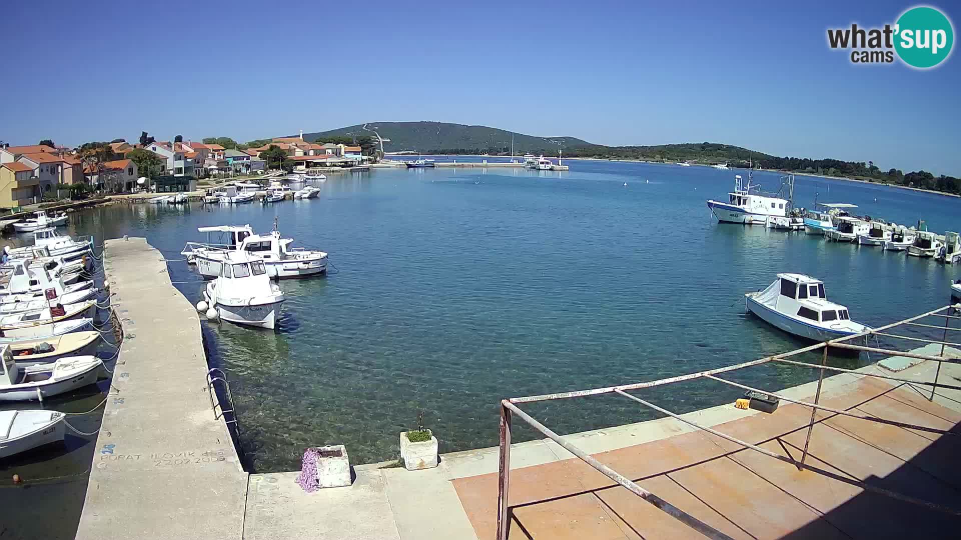 Camera en vivo Ilovik – Sveti Petar