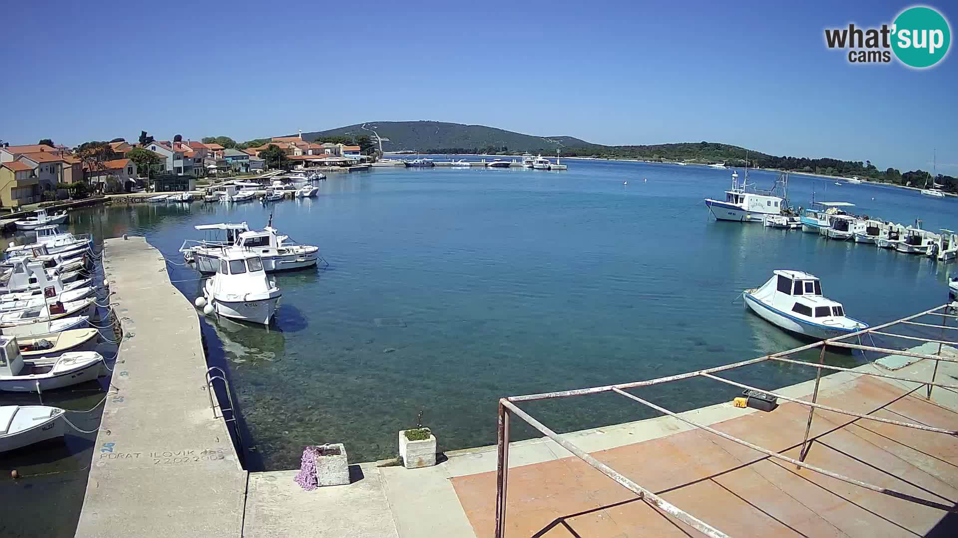 Webcam Ilovik – Sveti Petar