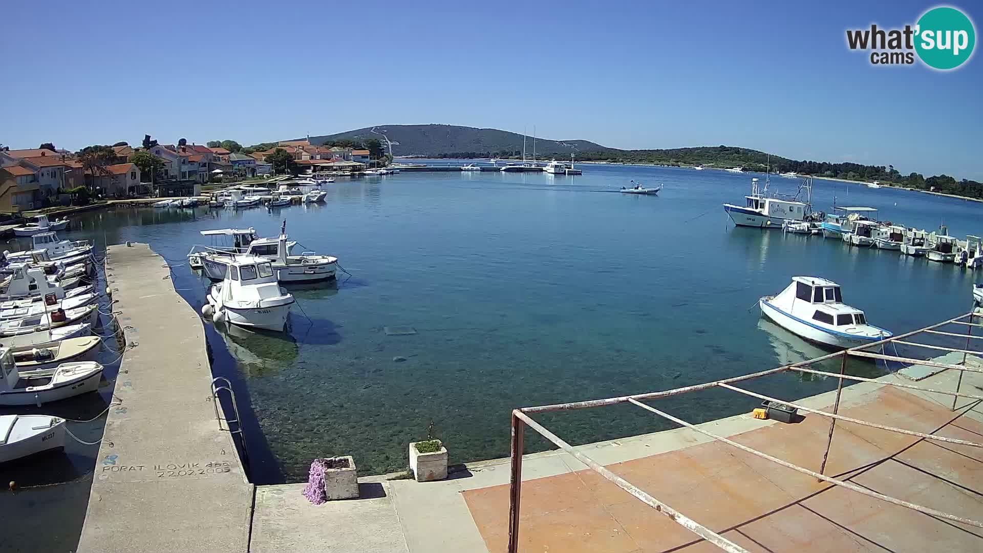 Webcam Ilovik – Sveti Petar – Kvarner