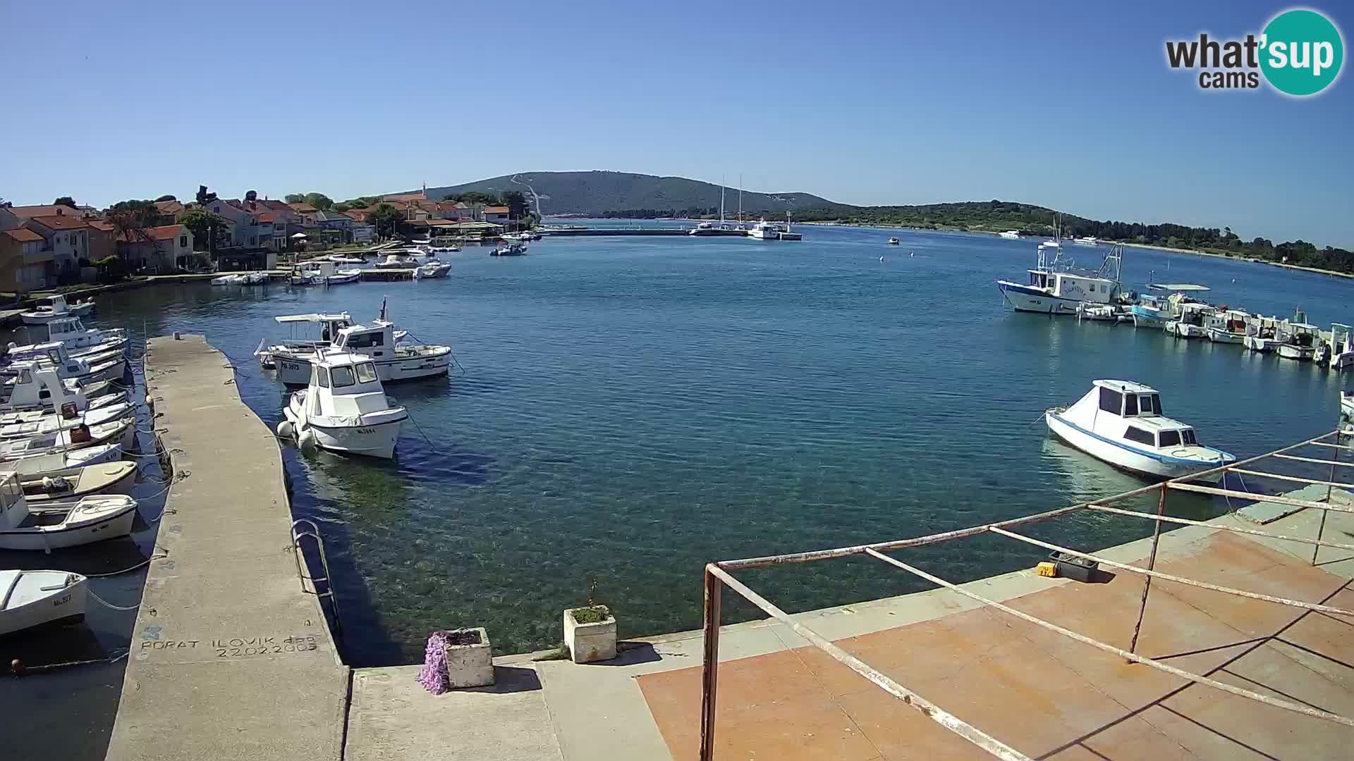 Live cam Ilovik – Sveti Petar