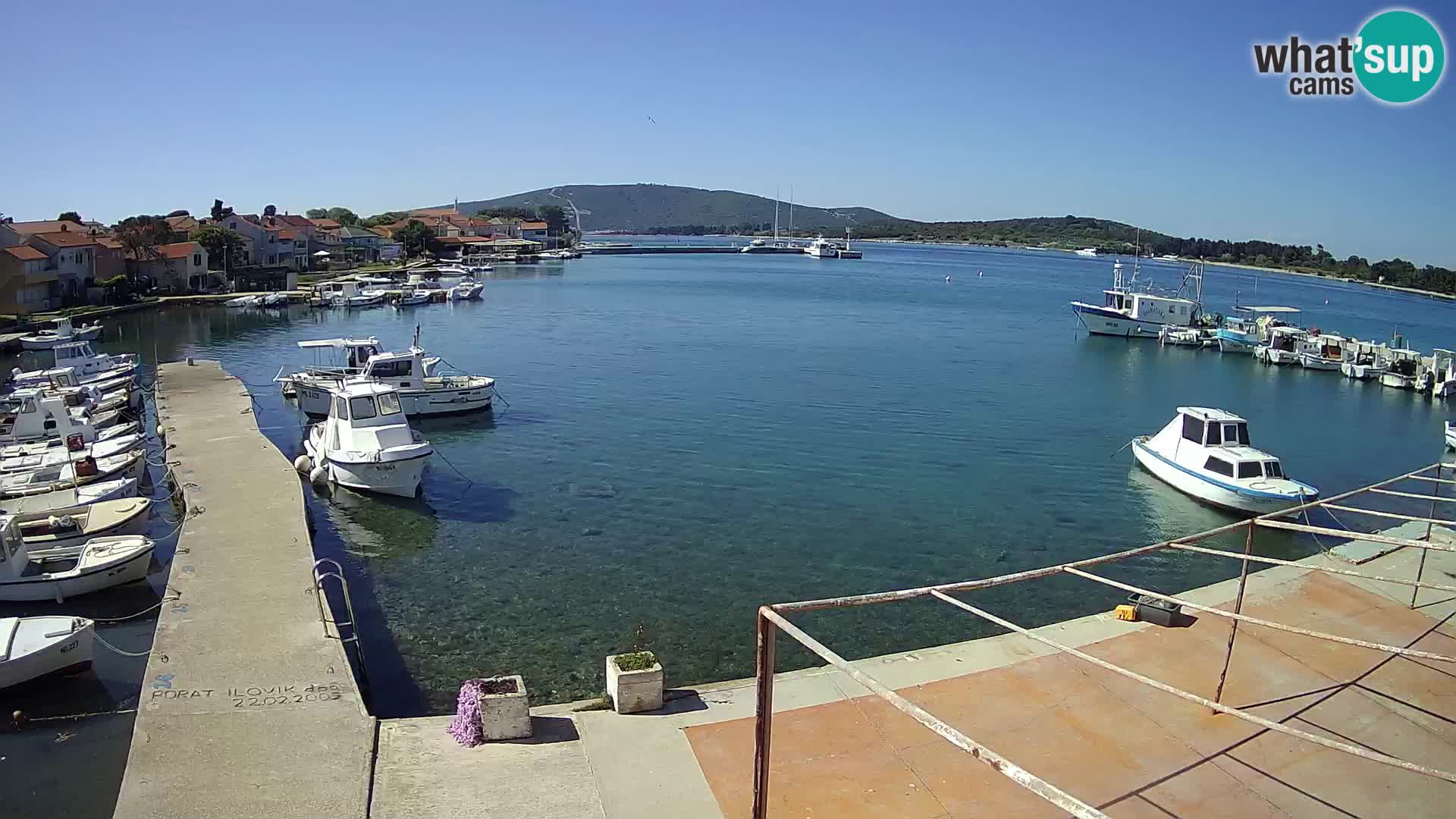 Live cam Ilovik – Sveti Petar