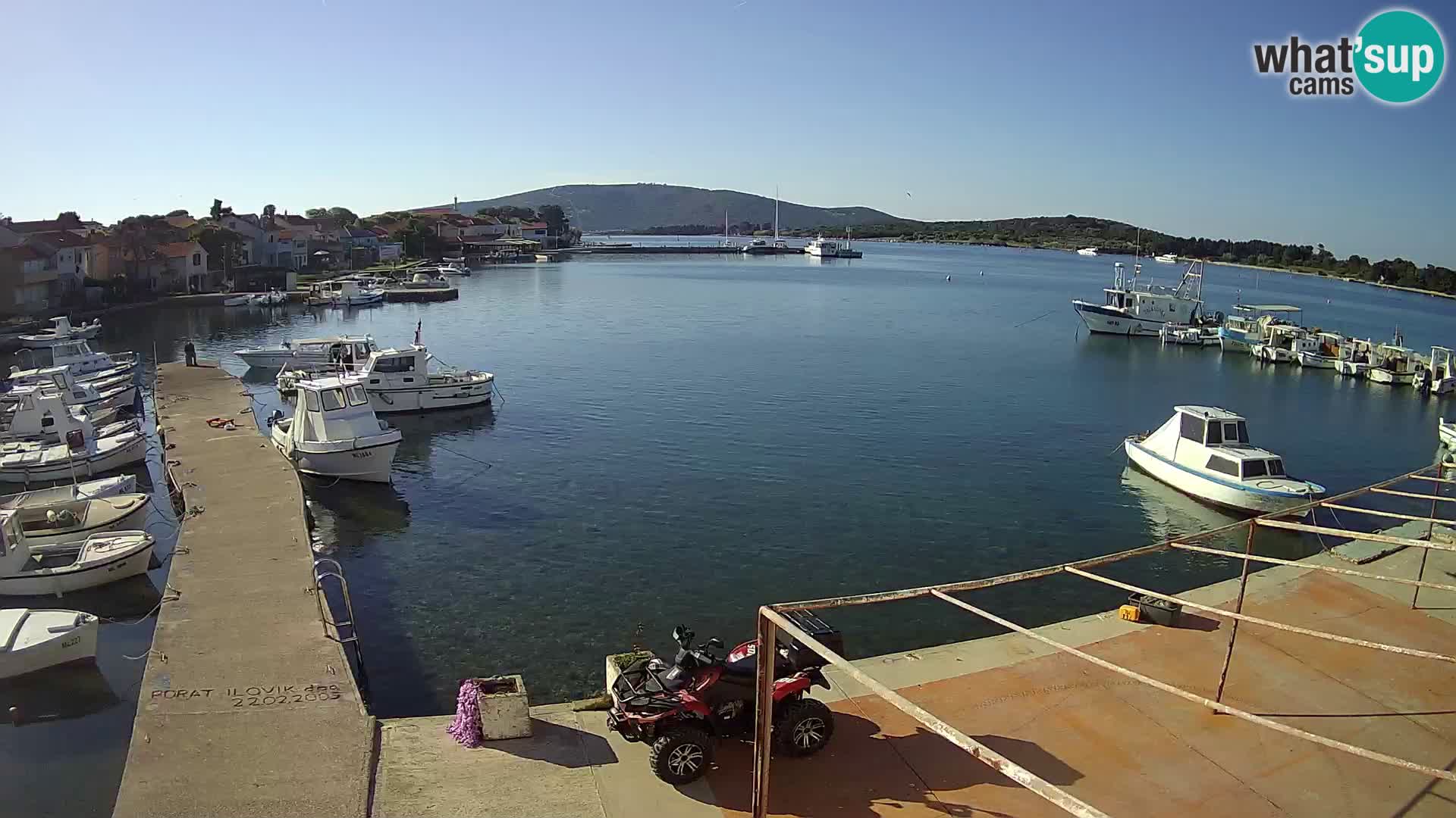 Livecam Asinello – San Piero