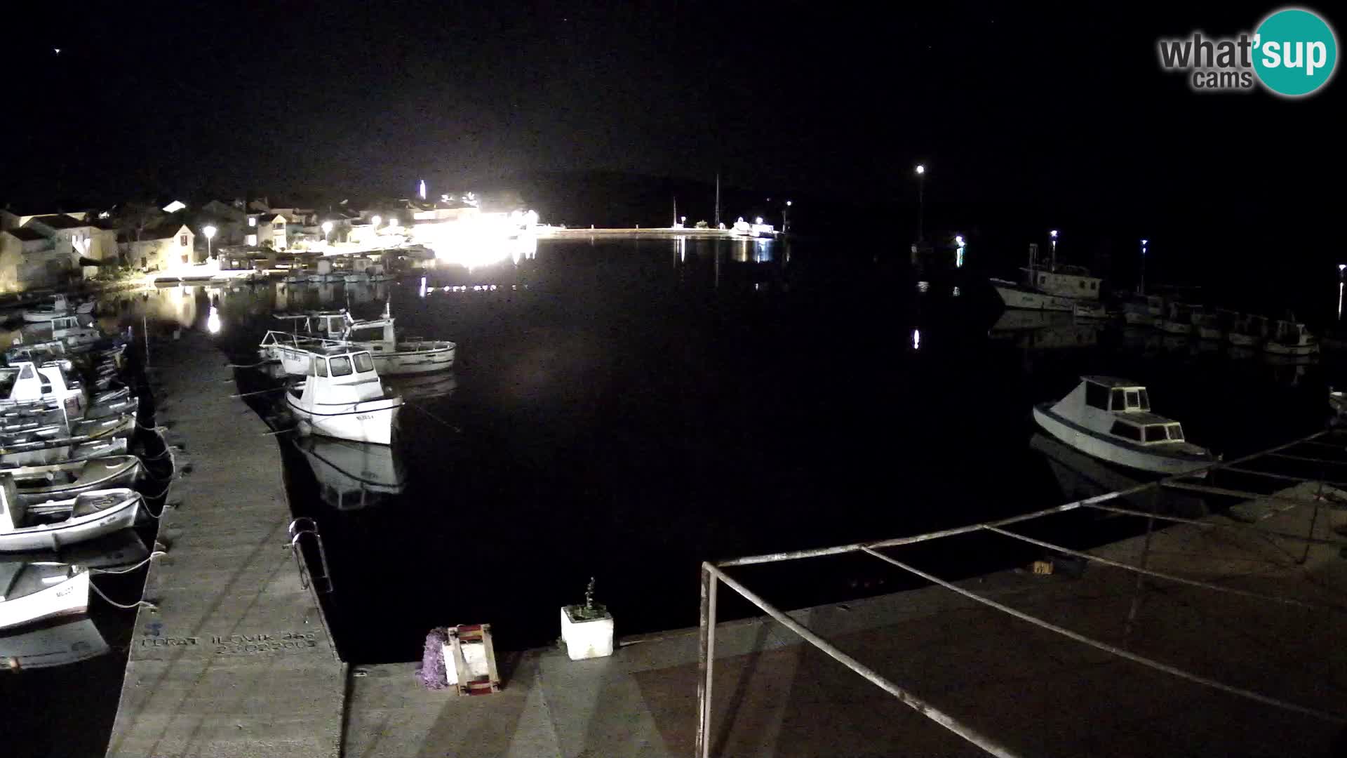 Livecam Asinello – San Piero