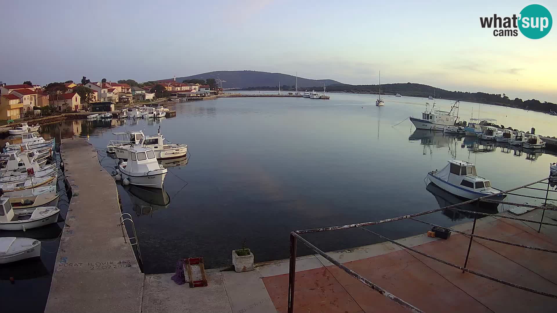 Livecam Asinello – San Piero