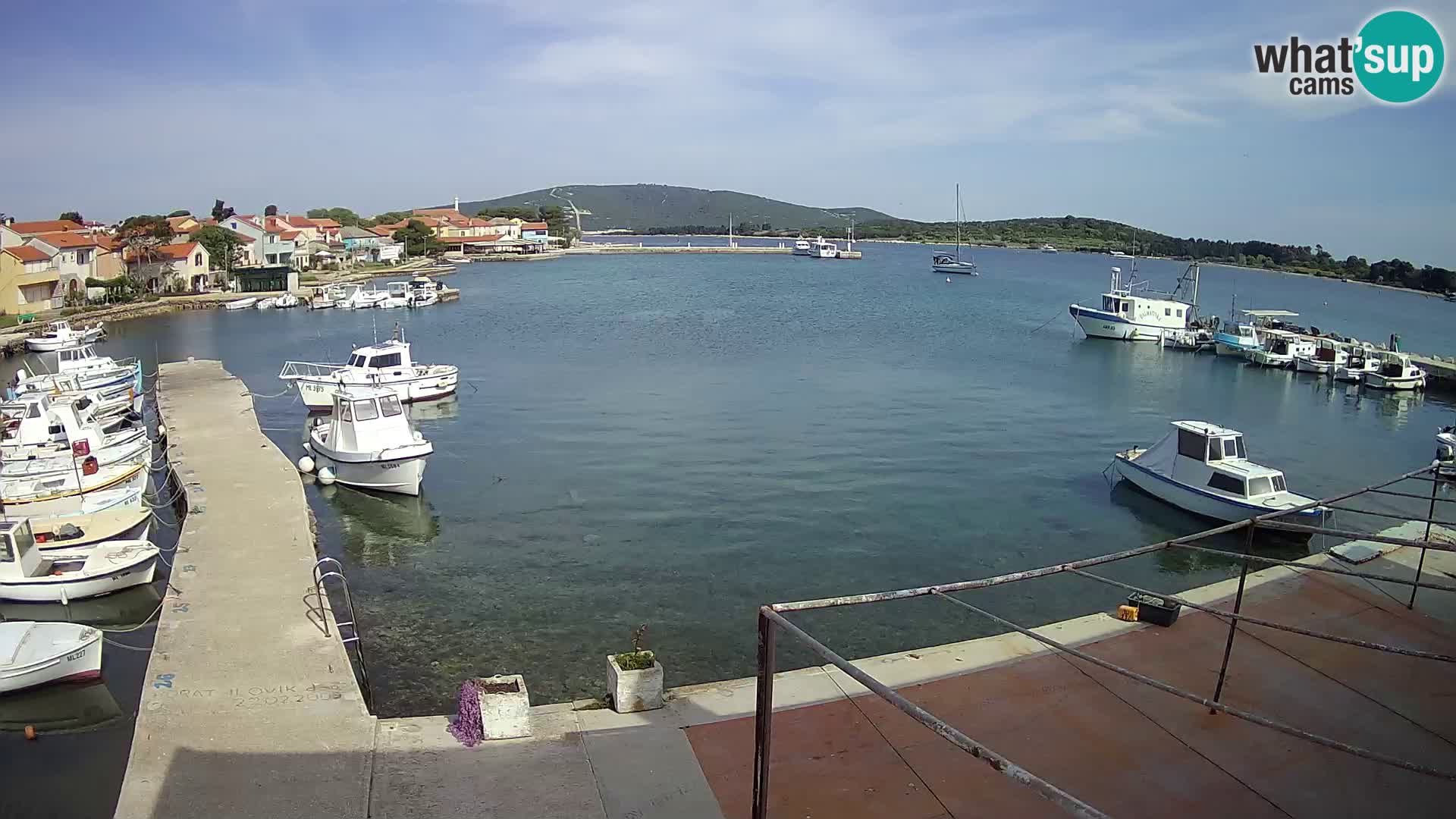 Livecam Asinello – San Piero