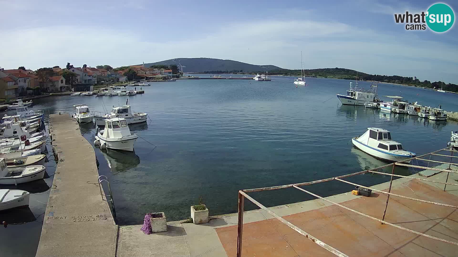 Camera en vivo Ilovik – Sveti Petar