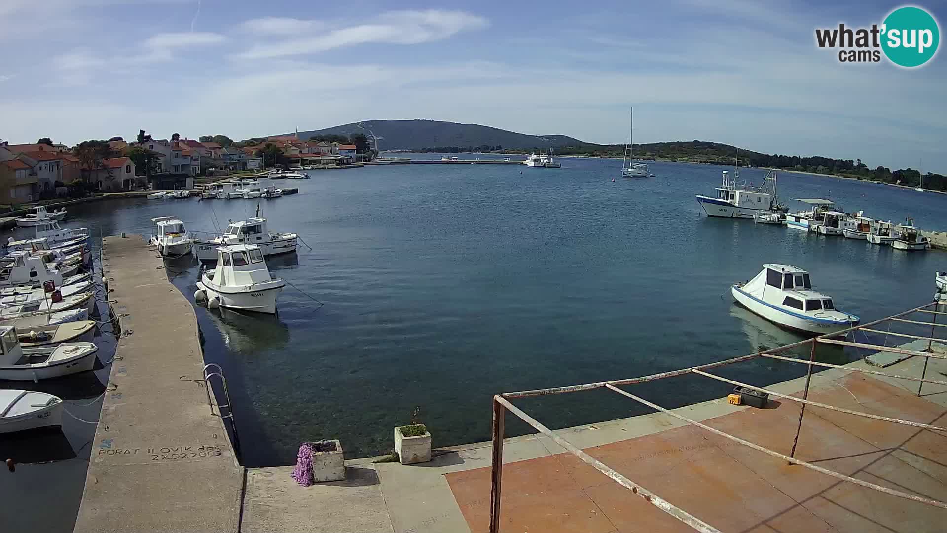 Camera en vivo Ilovik – Sveti Petar