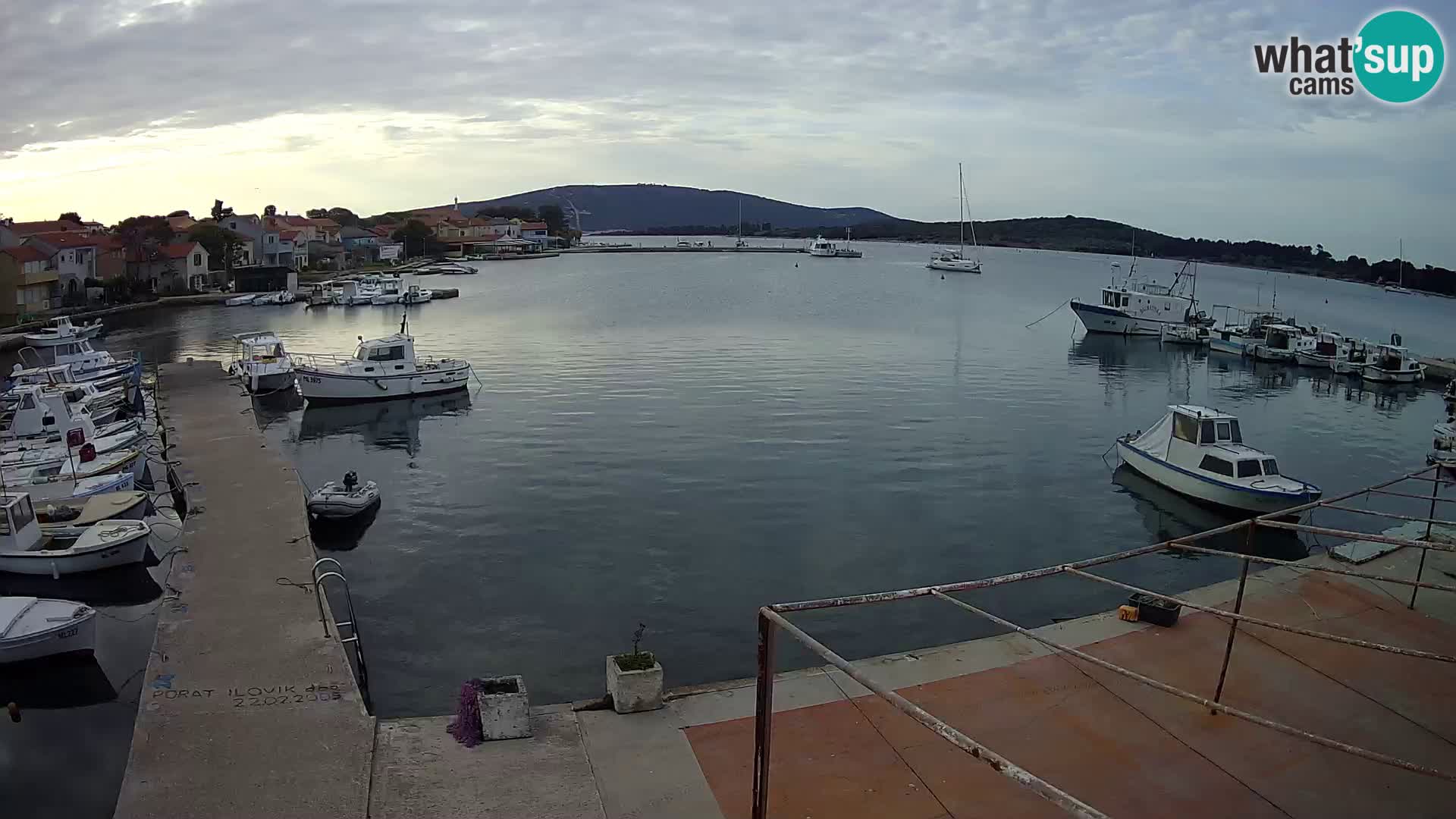 Livecam Asinello – San Piero