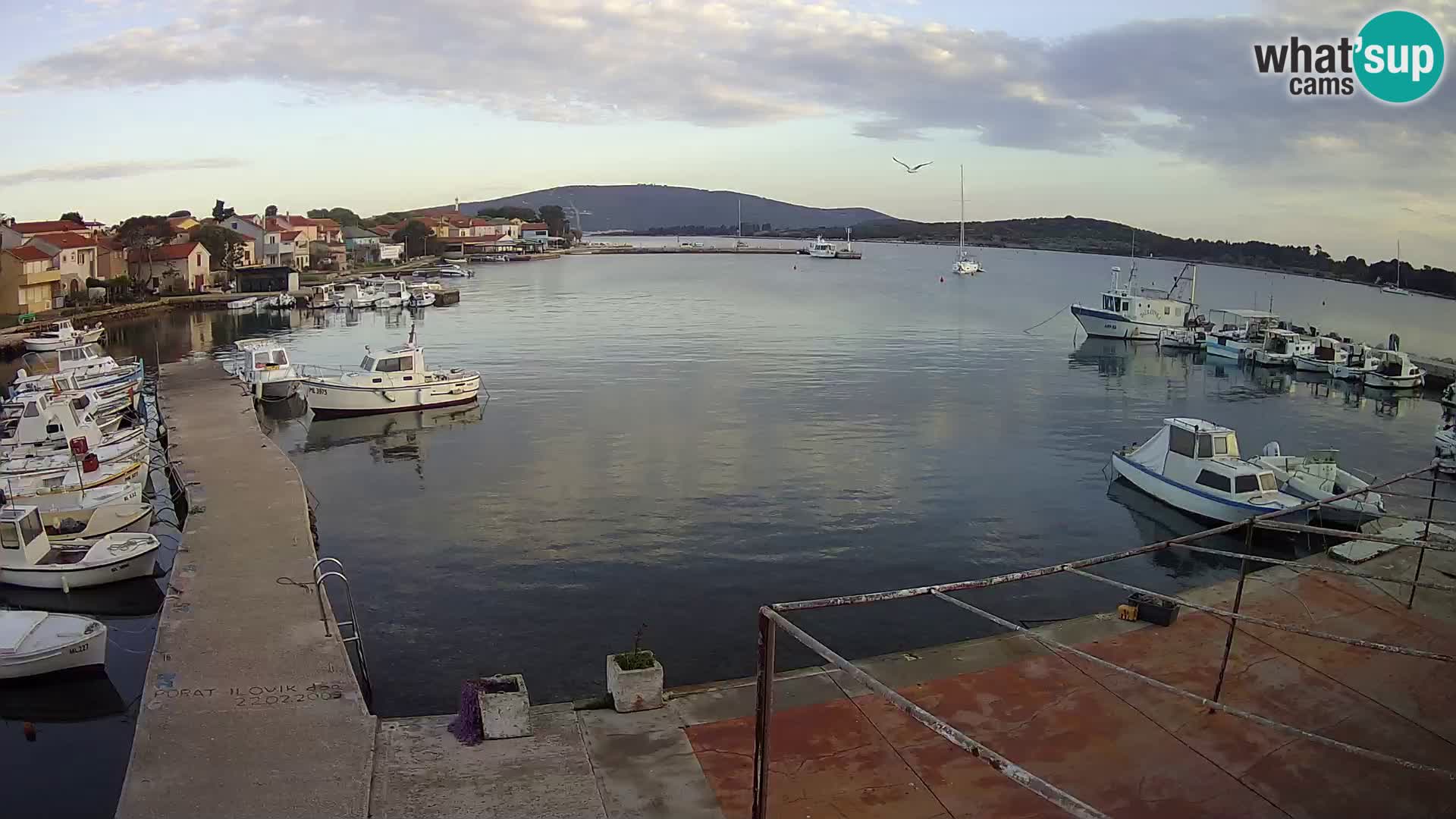 Camera en vivo Ilovik – Sveti Petar
