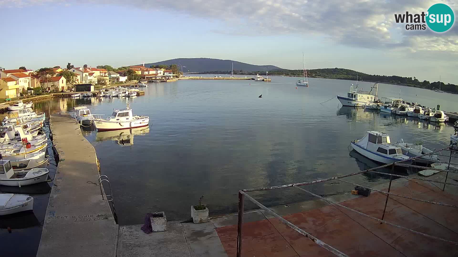 Livecam Asinello – San Piero