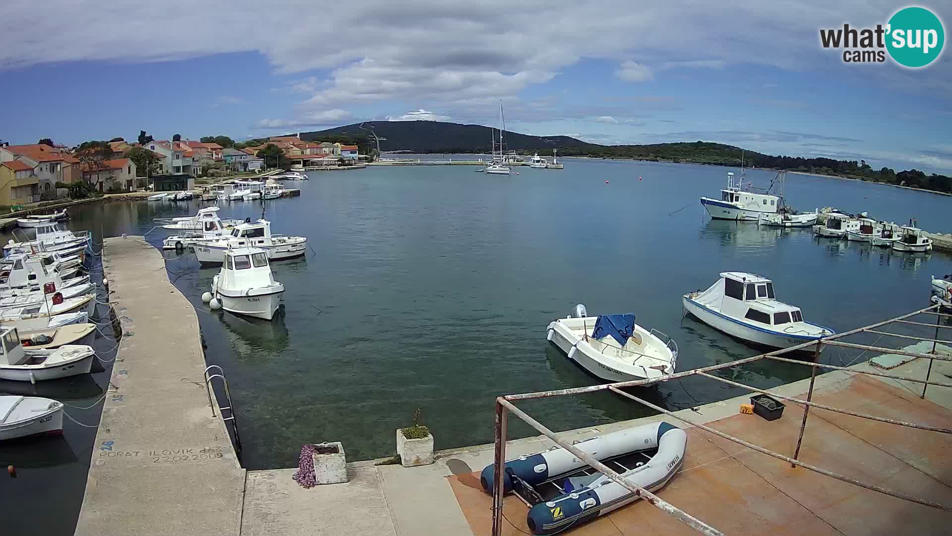 Camera en vivo Ilovik – Sveti Petar