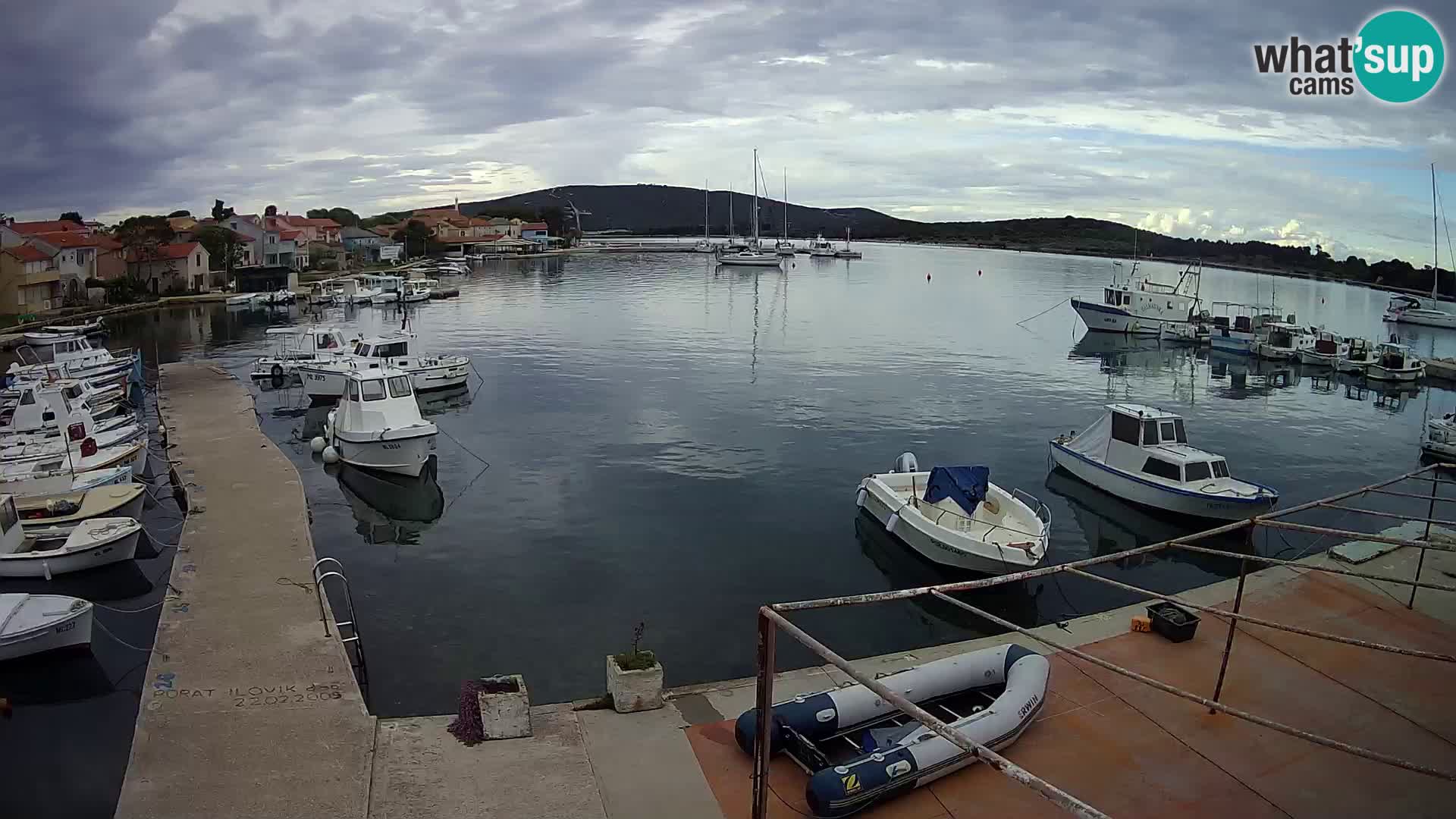 Livecam Asinello – San Piero