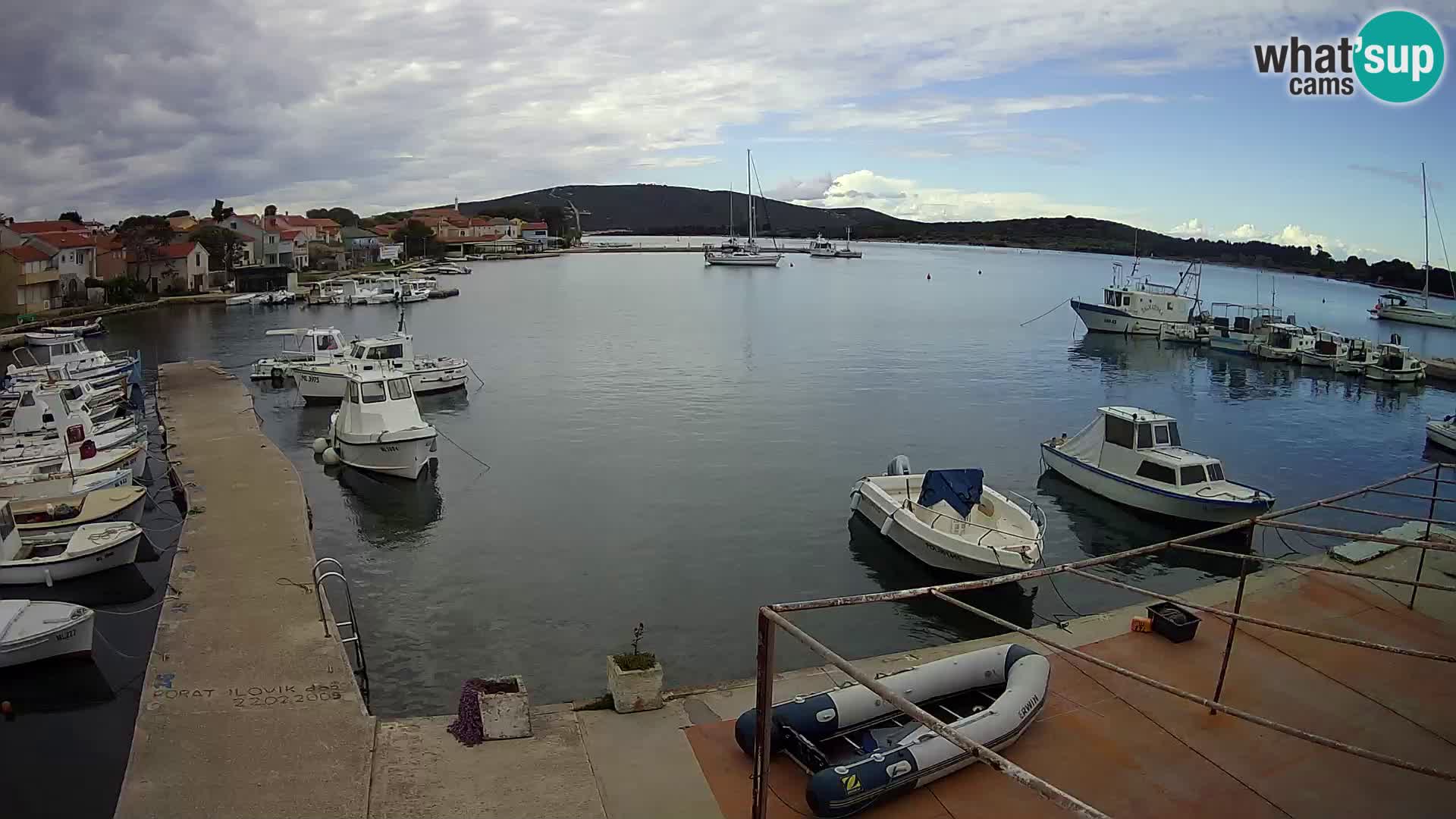 Livecam Asinello – San Piero
