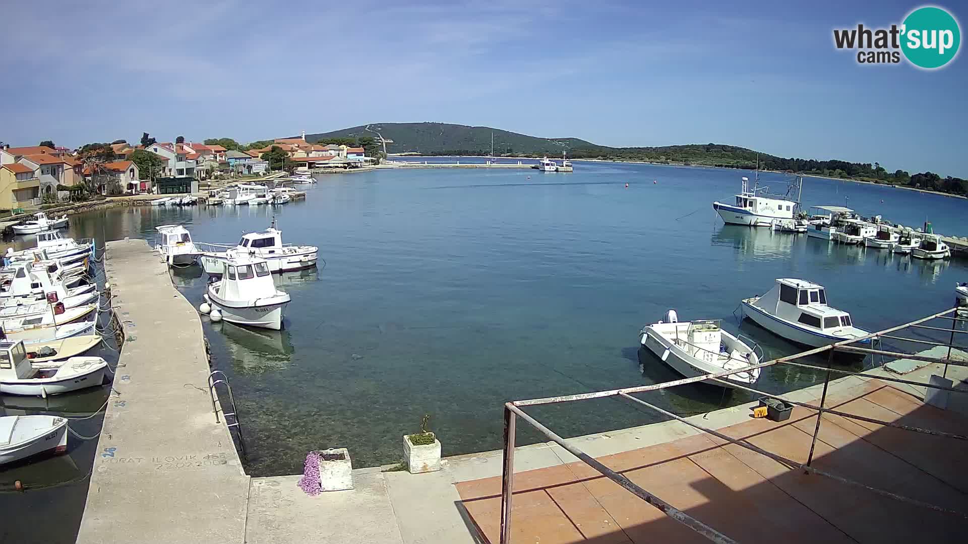 Livecam Asinello – San Piero