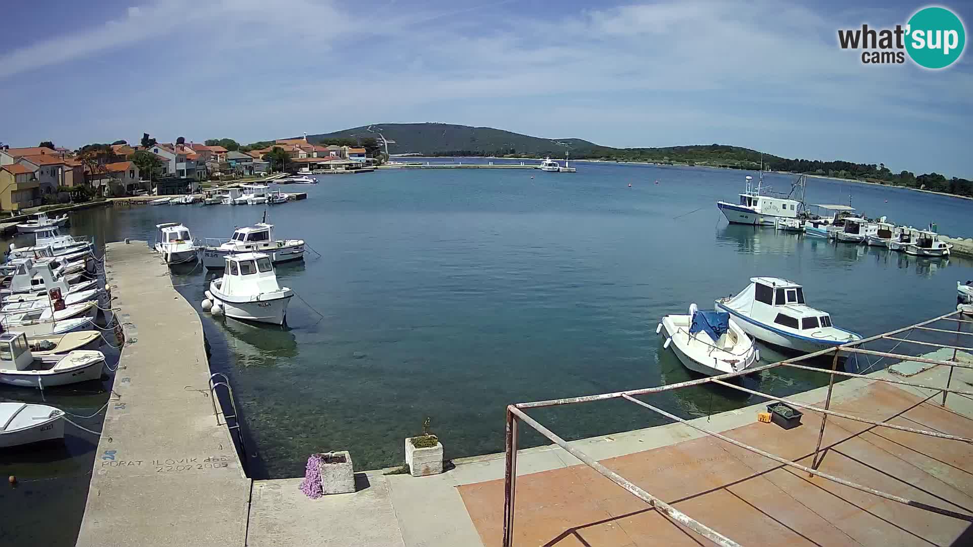 Livecam Asinello – San Piero