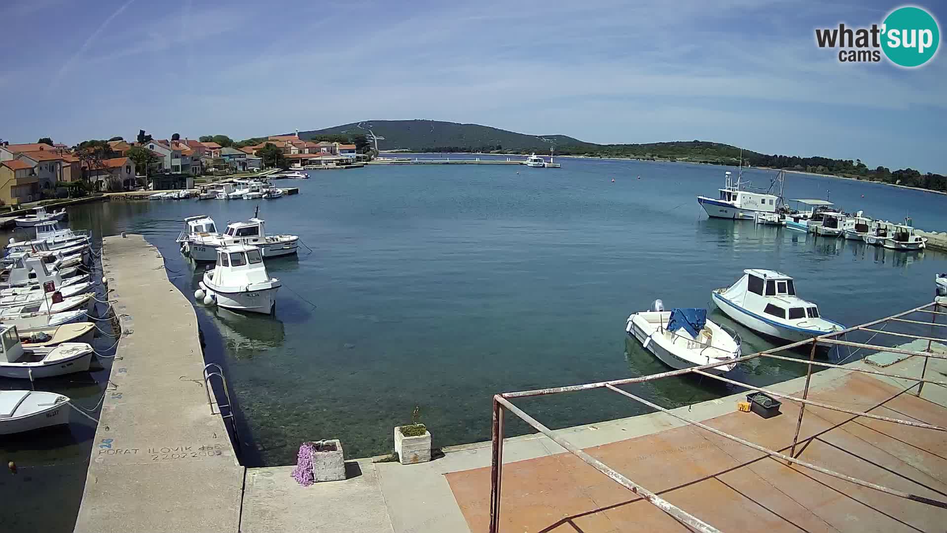 Webcam Ilovik – Sveti Petar