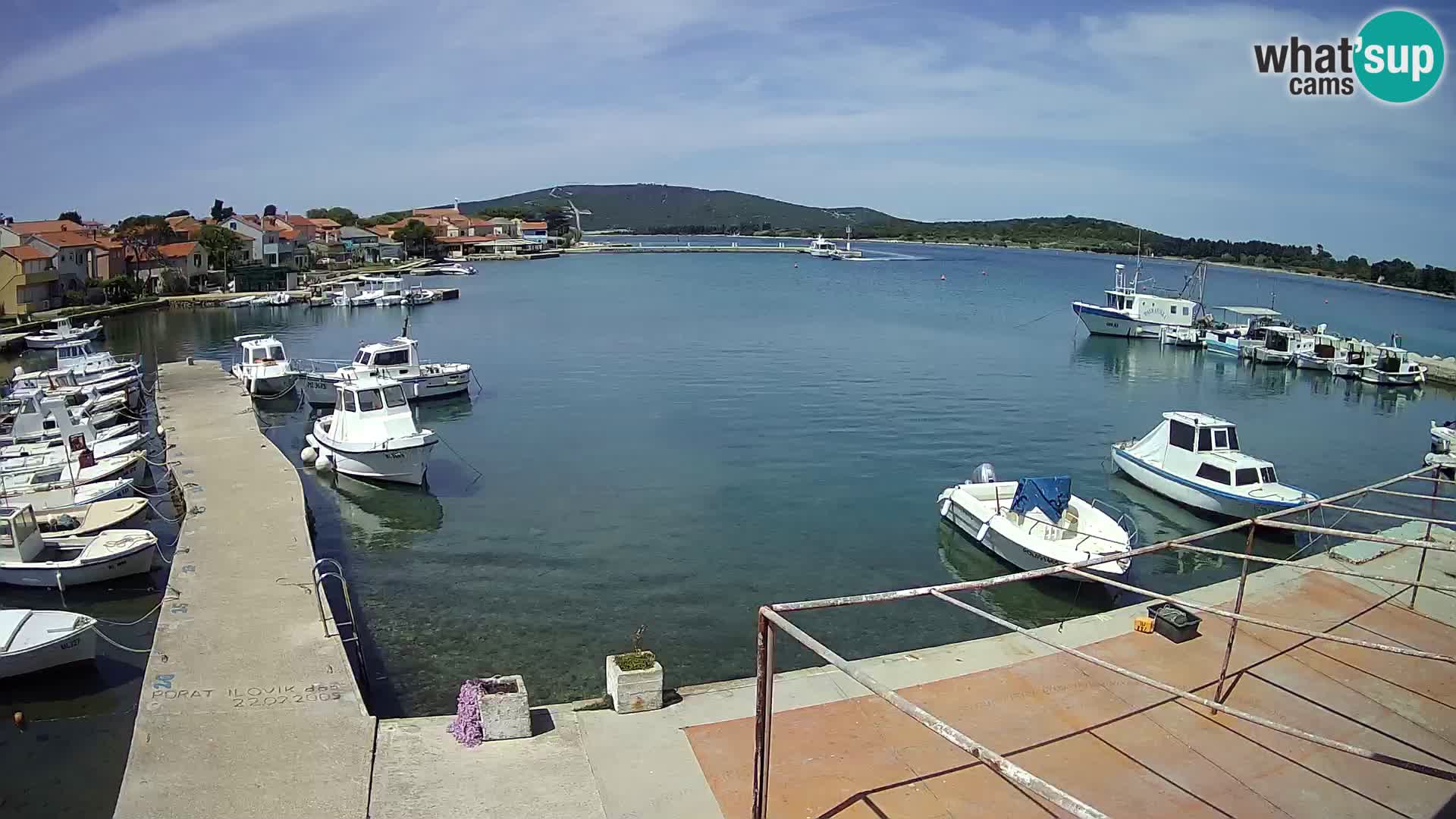 Camera en vivo Ilovik – Sveti Petar