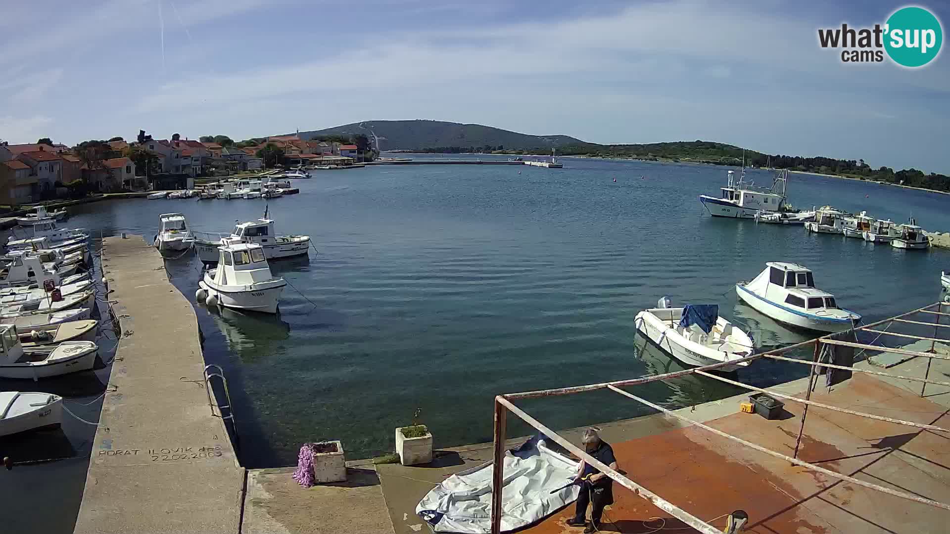 Livecam Asinello – San Piero