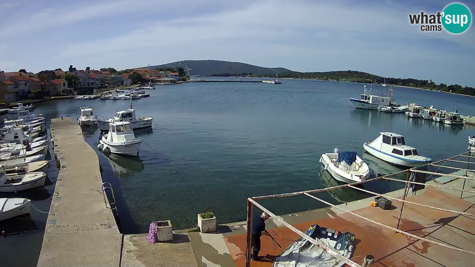Camera en vivo Ilovik – Sveti Petar