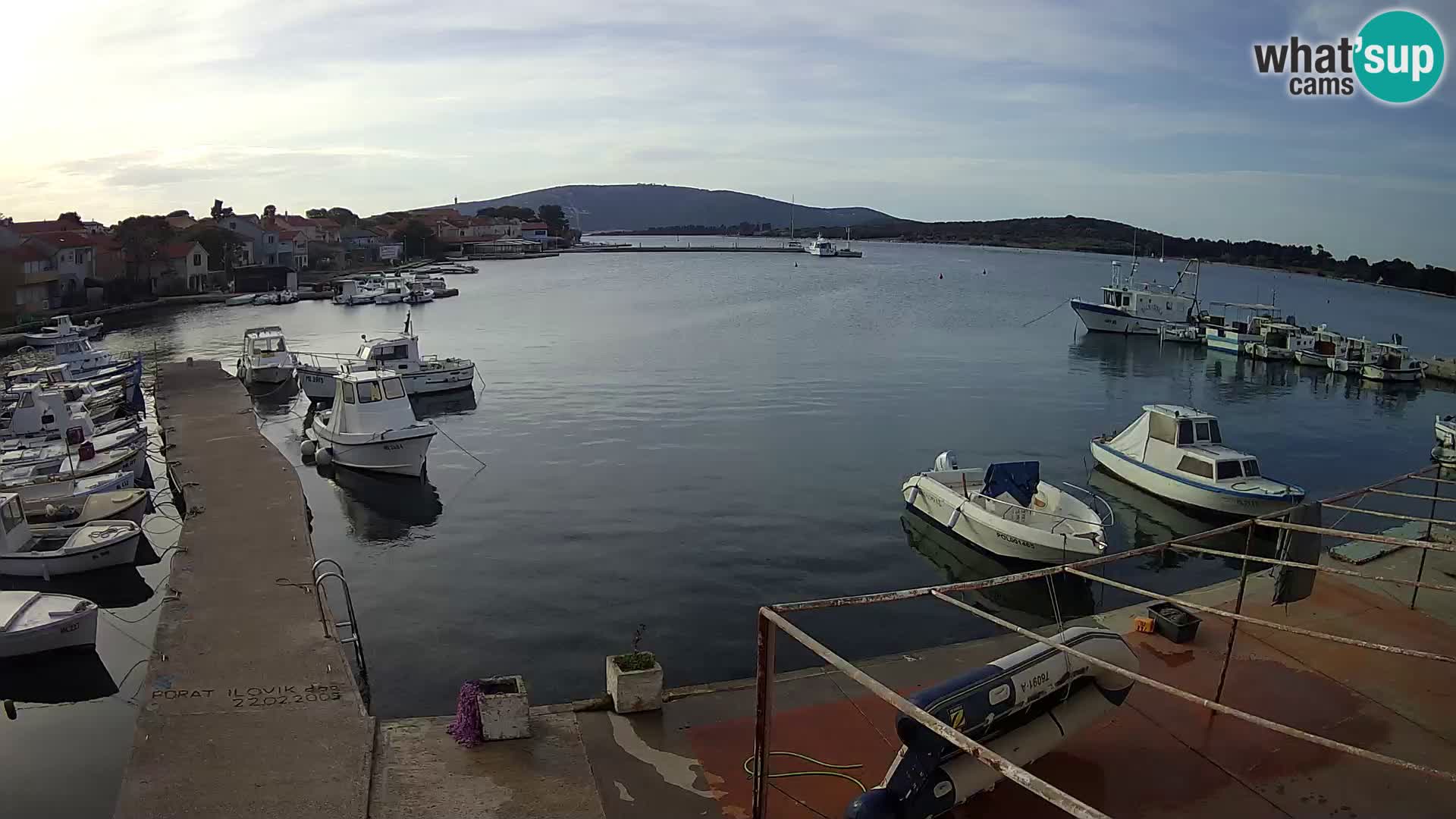 Livecam Asinello – San Piero