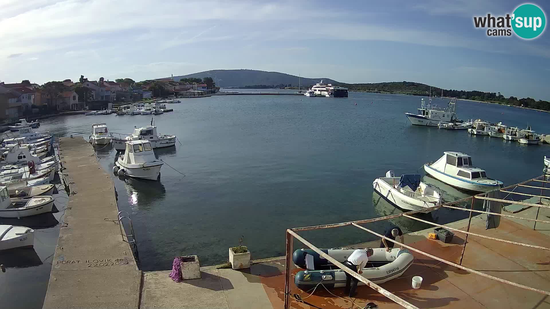 Livecam Asinello – San Piero