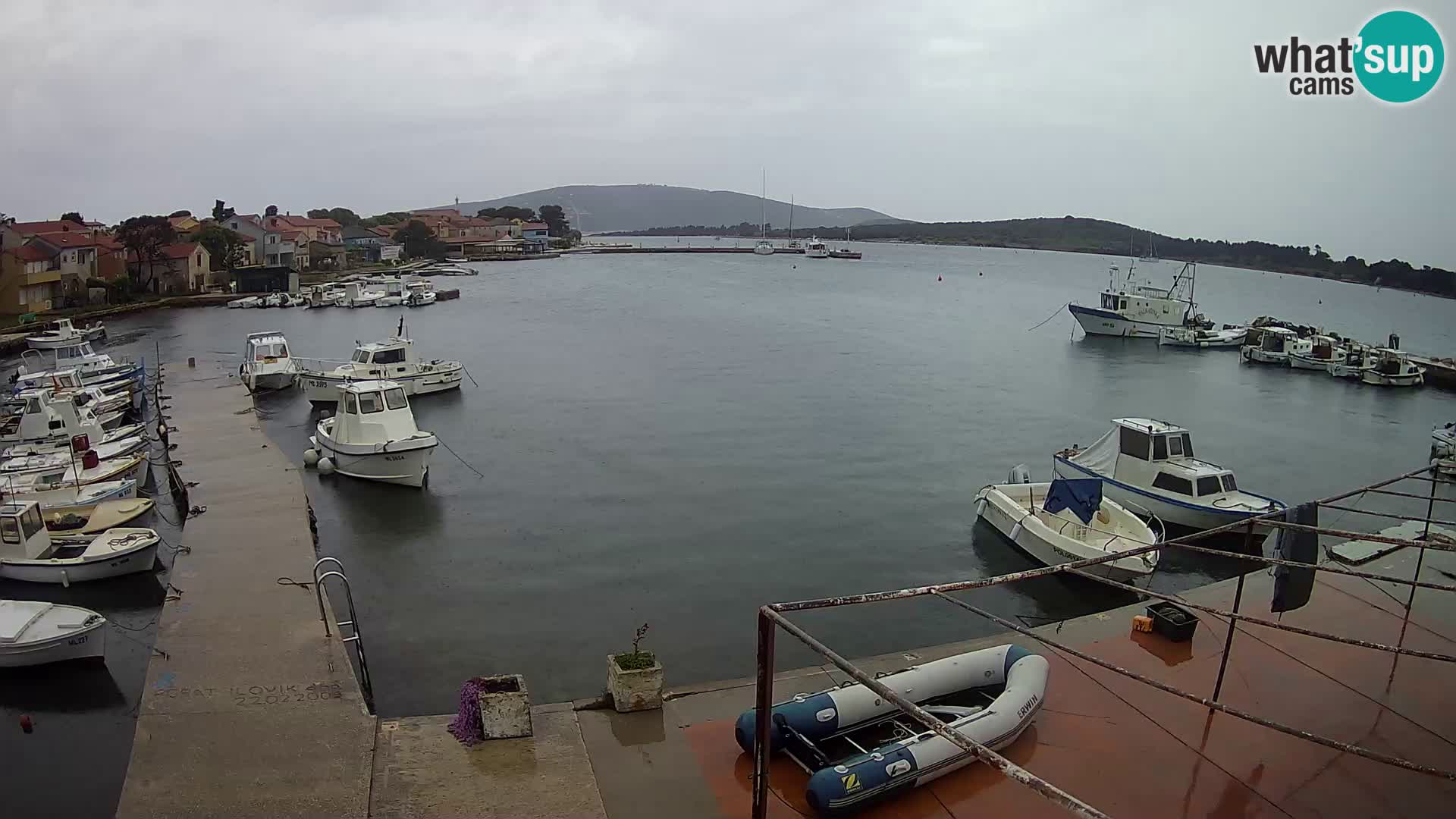 Livecam Asinello – San Piero