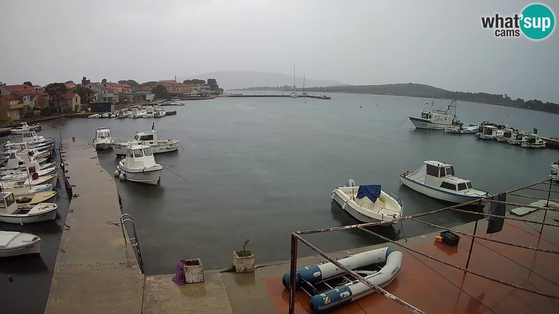 Livecam Asinello – San Piero