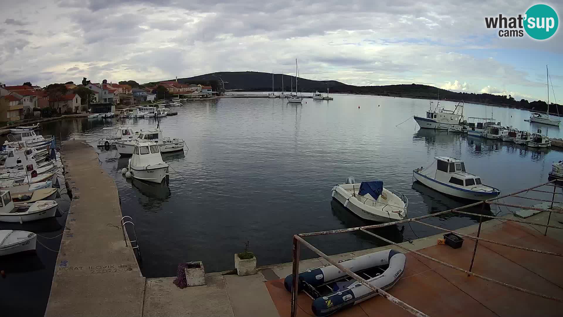 Livecam Asinello – San Piero