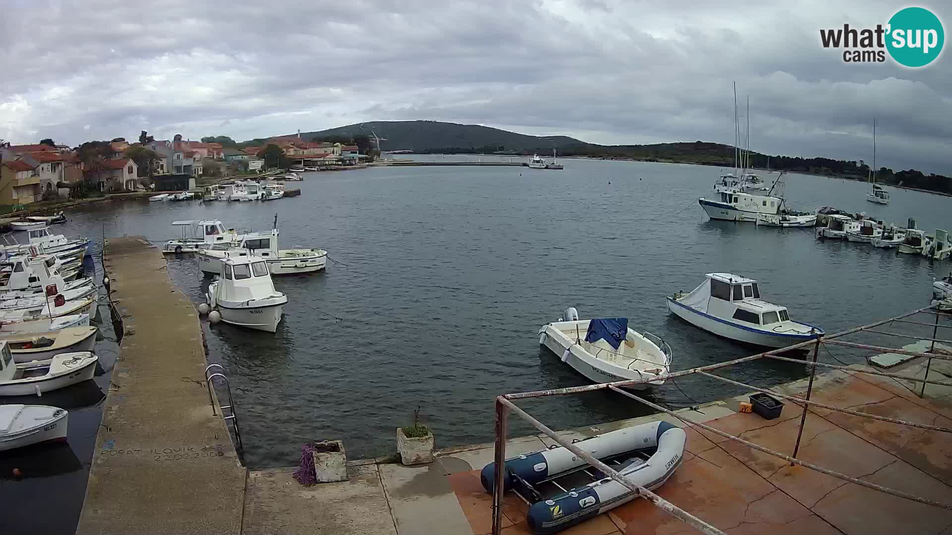 Livecam Asinello – San Piero