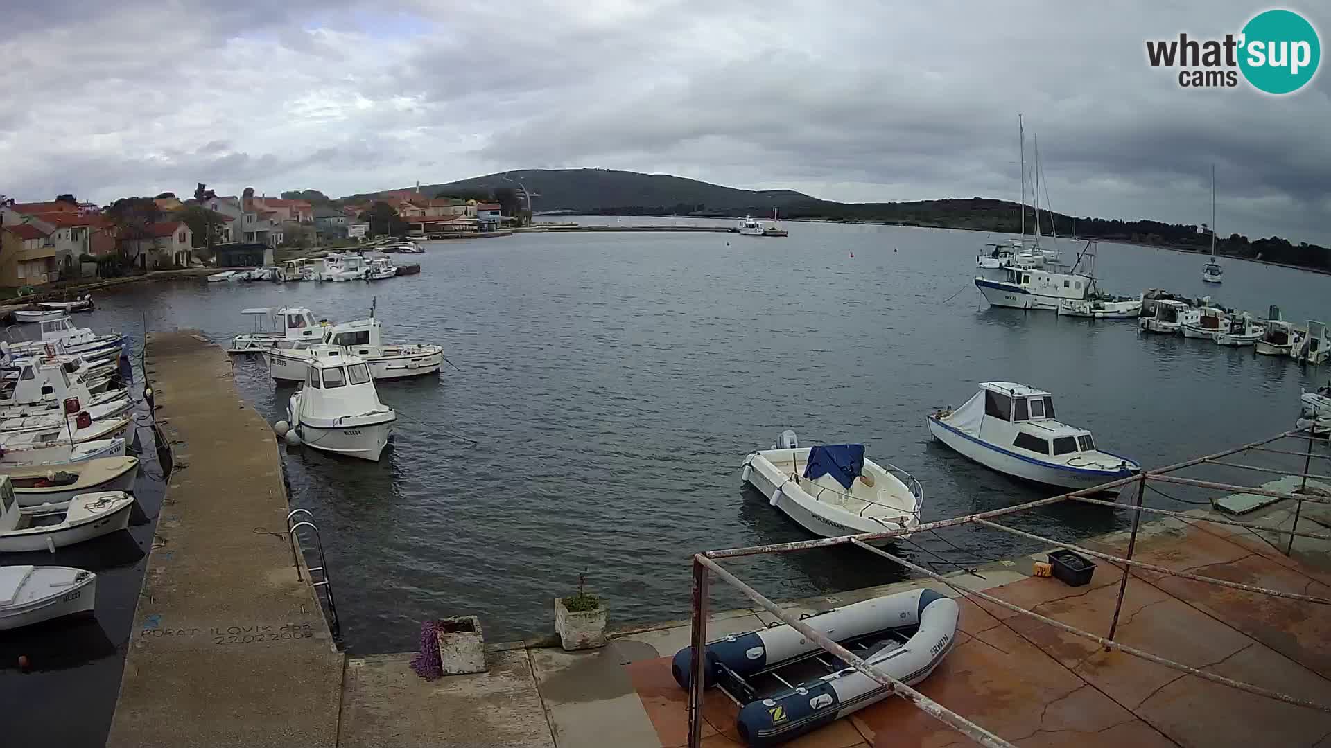 Livecam Asinello – San Piero