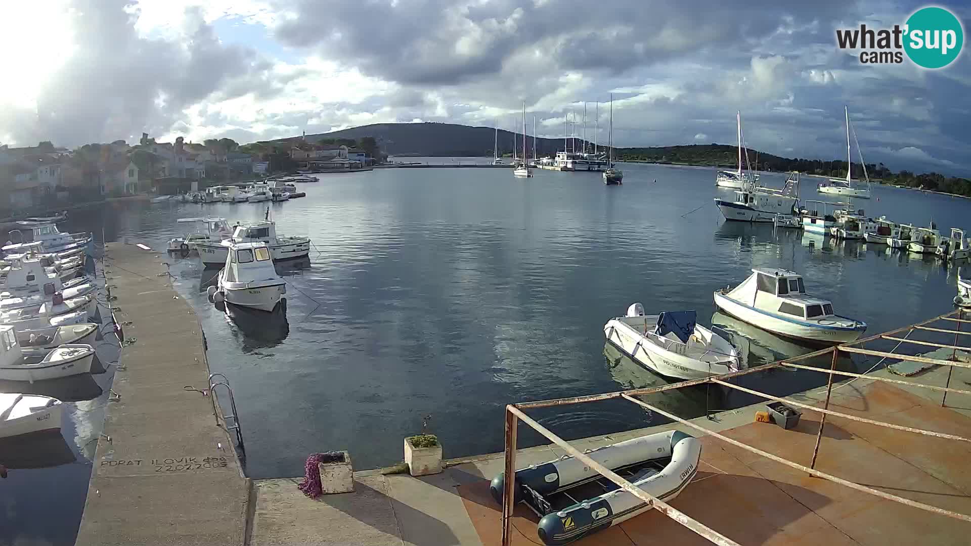 Livecam Asinello – San Piero