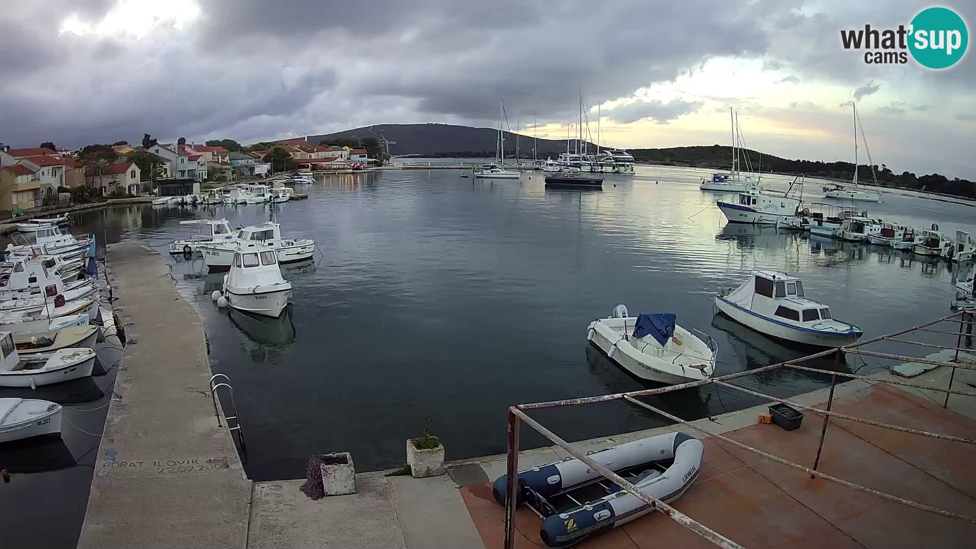 Livecam Asinello – San Piero