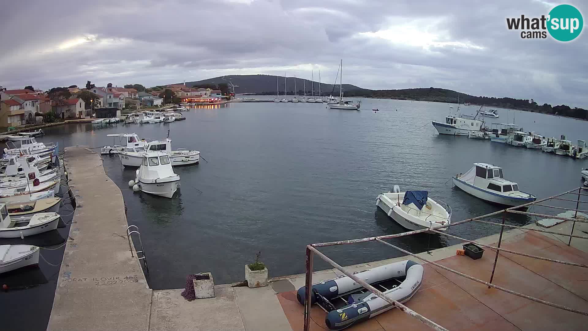 Livecam Asinello – San Piero