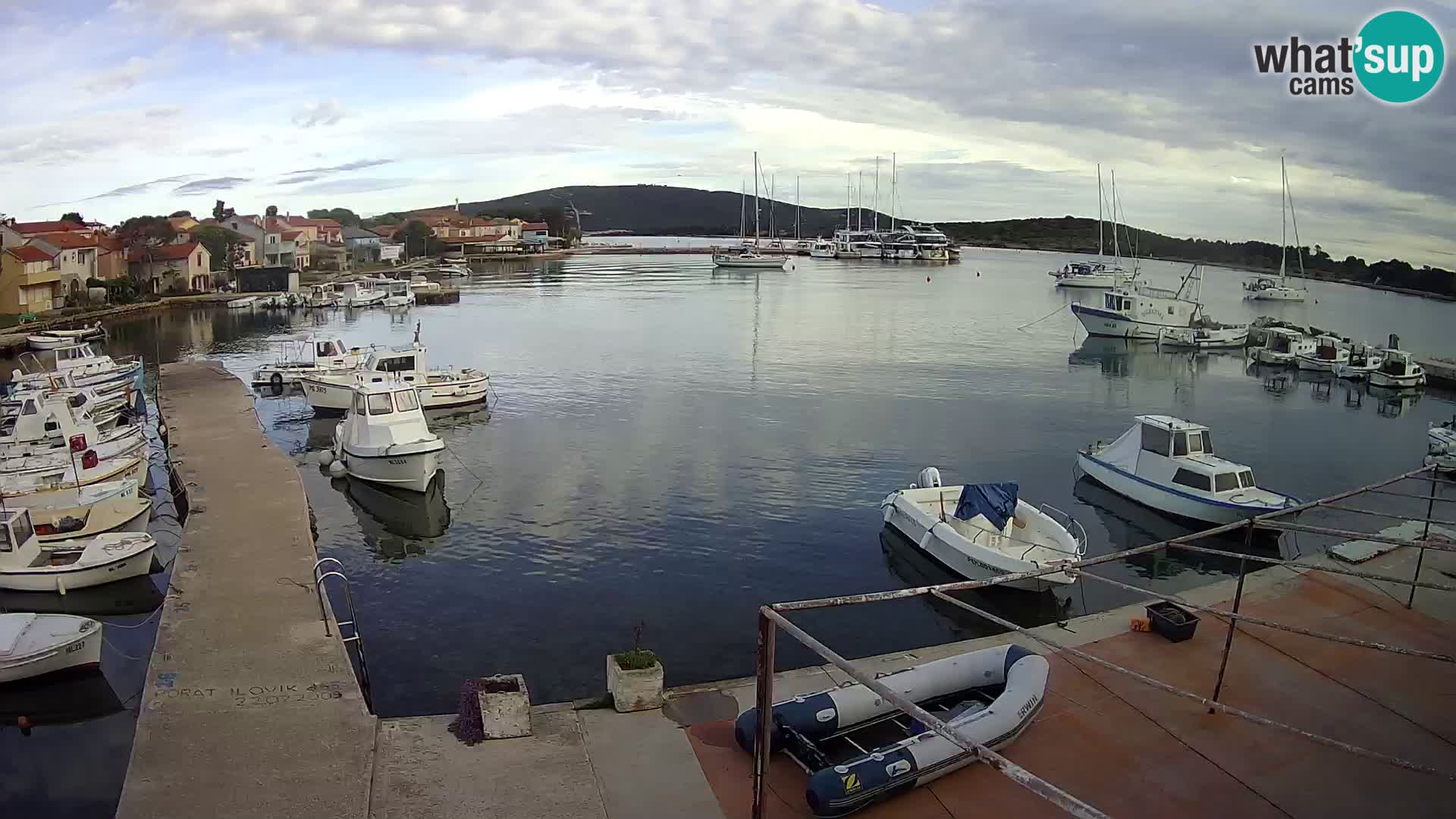 Livecam Asinello – San Piero