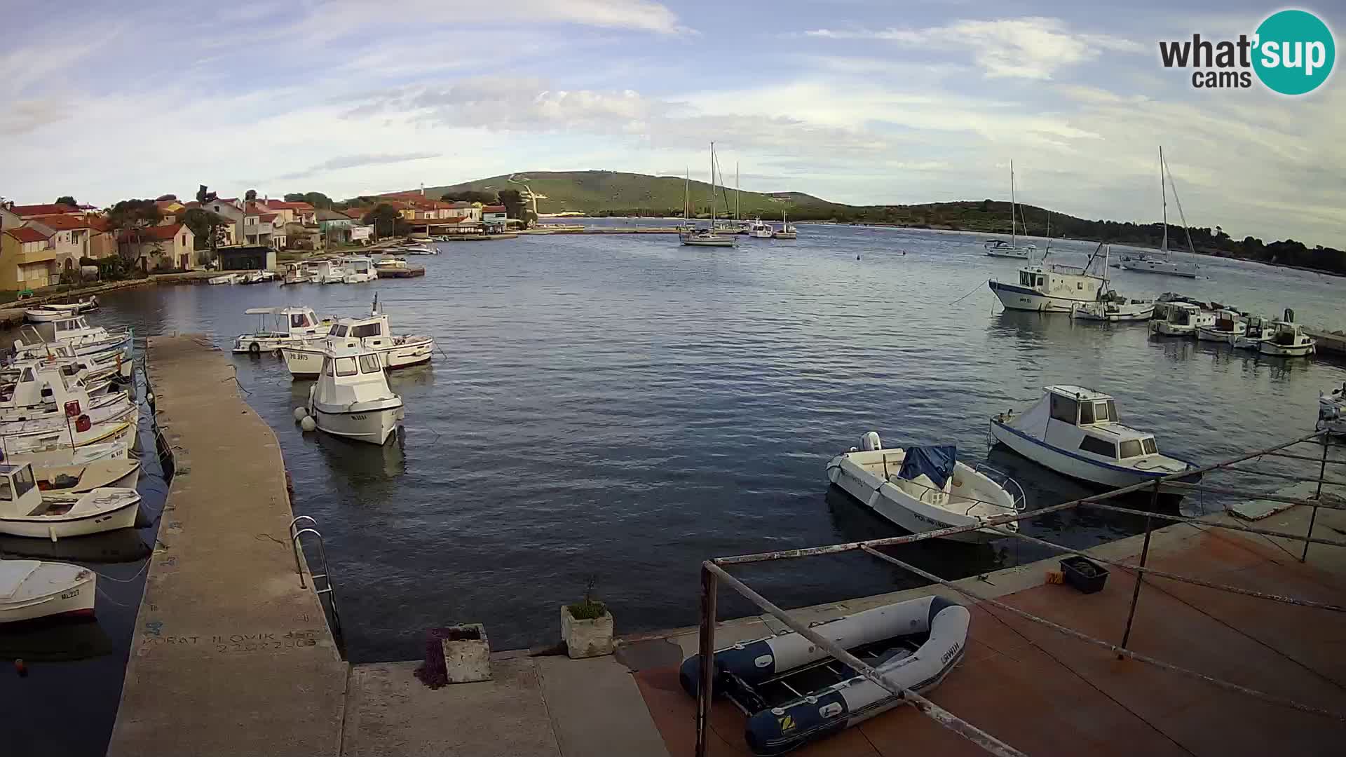 Livecam Asinello – San Piero