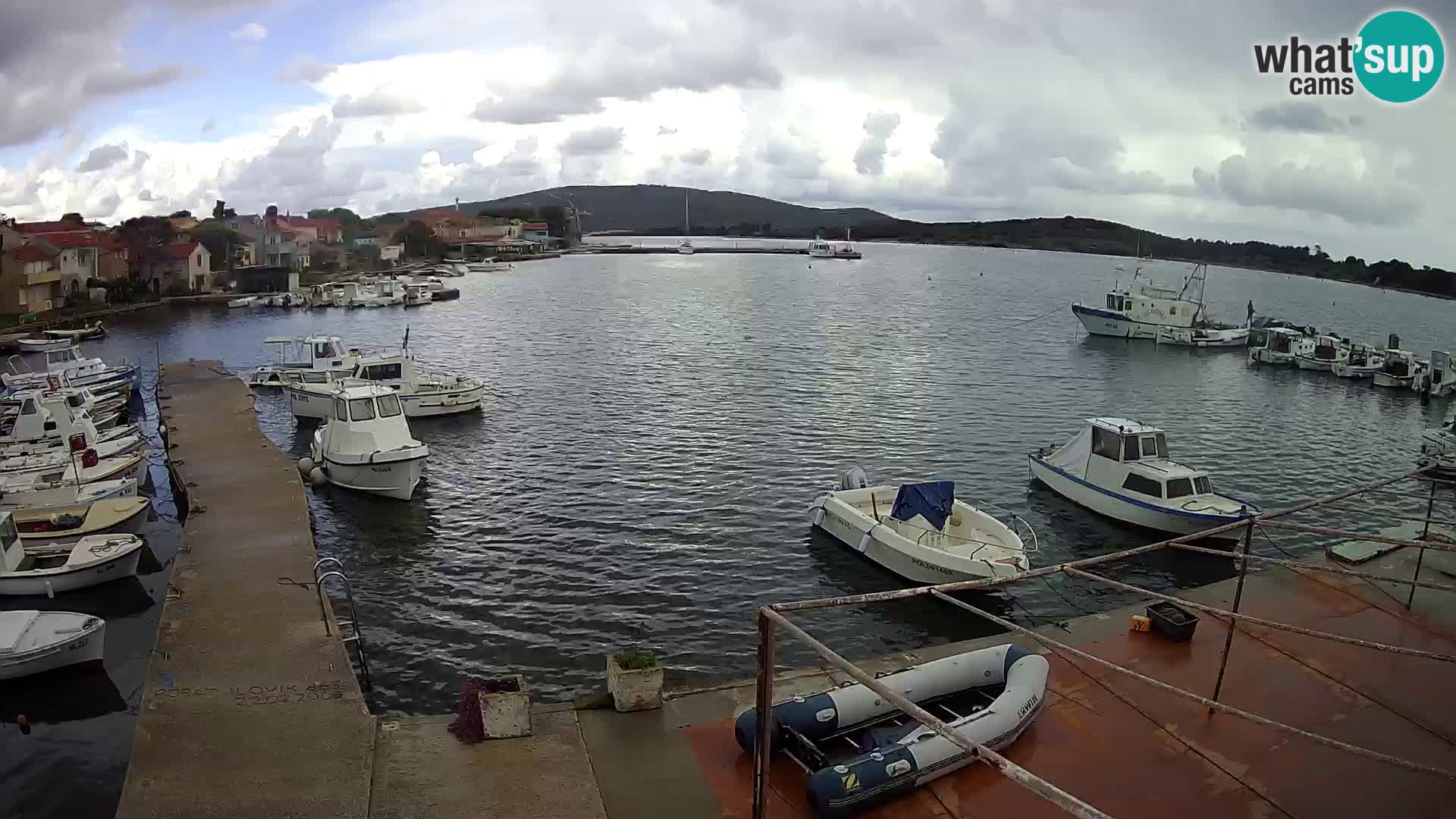 Livecam Asinello – San Piero