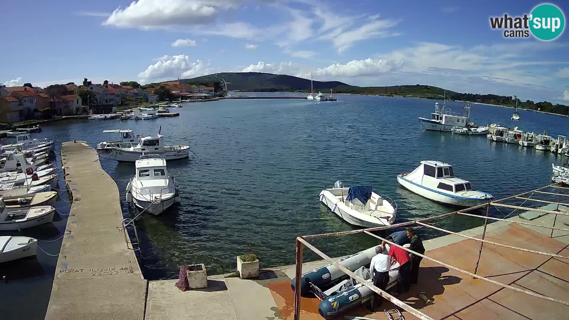 Camera en vivo Ilovik – Sveti Petar