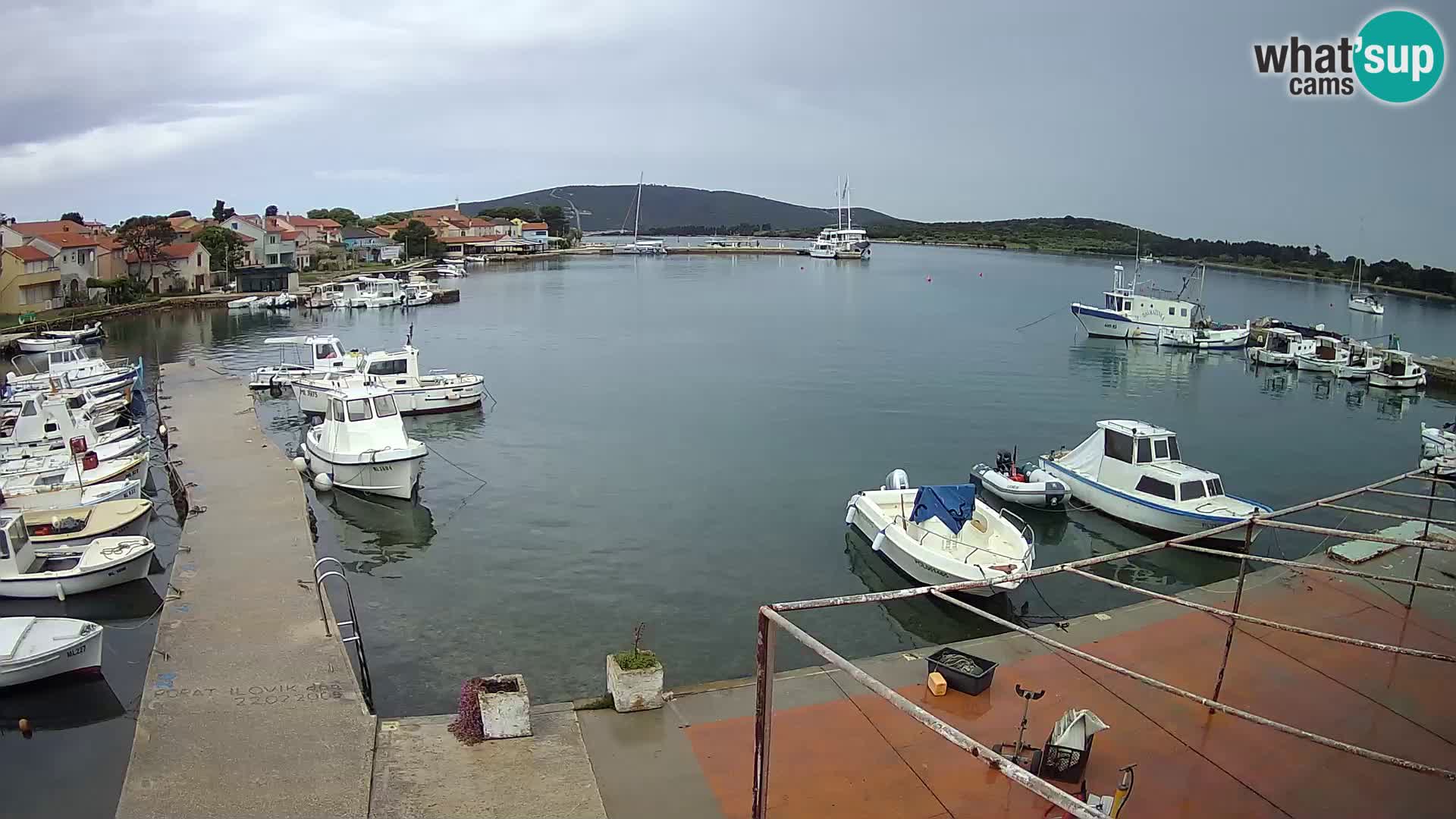 Camera en vivo Ilovik – Sveti Petar