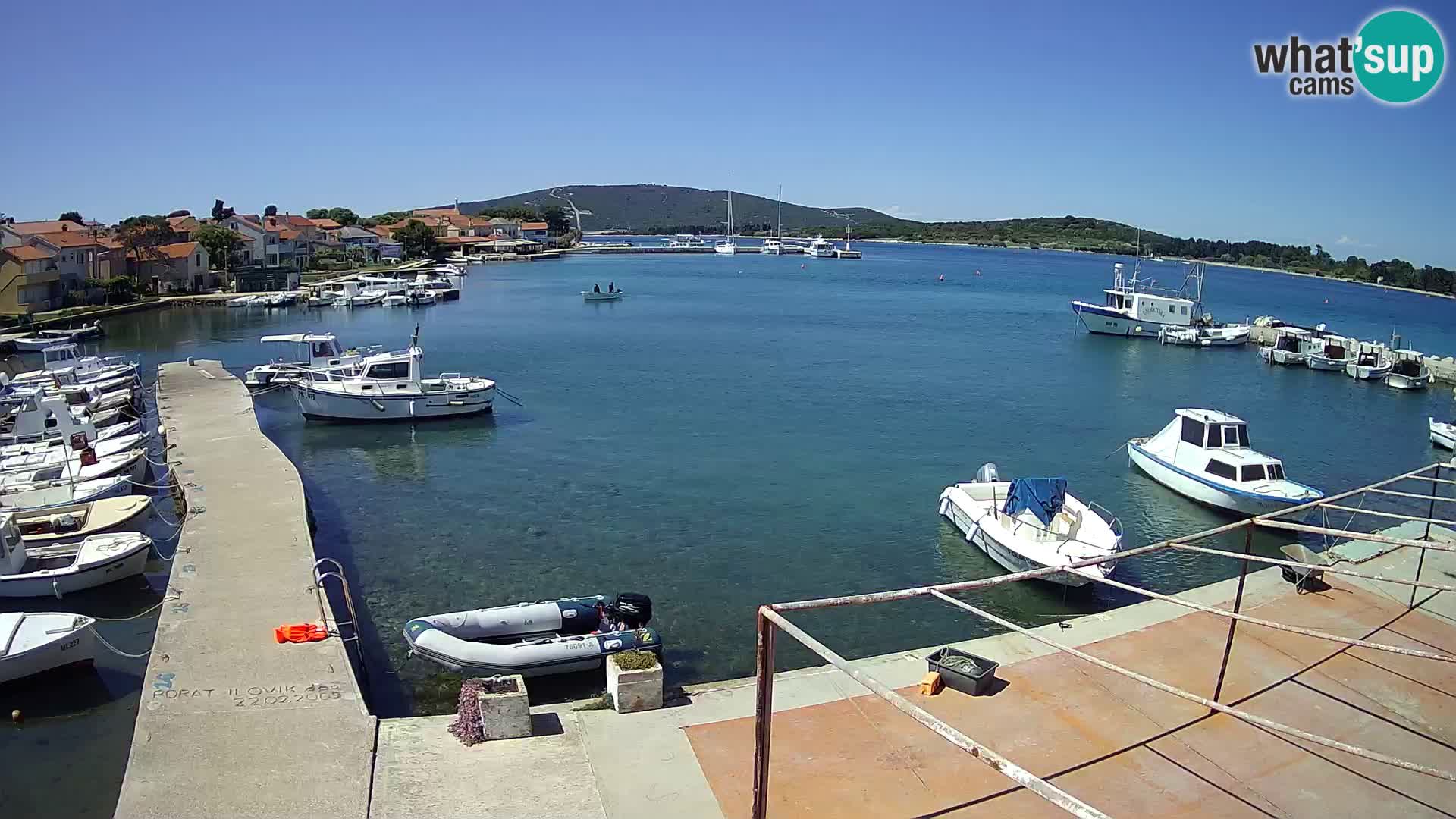Livecam Asinello – San Piero