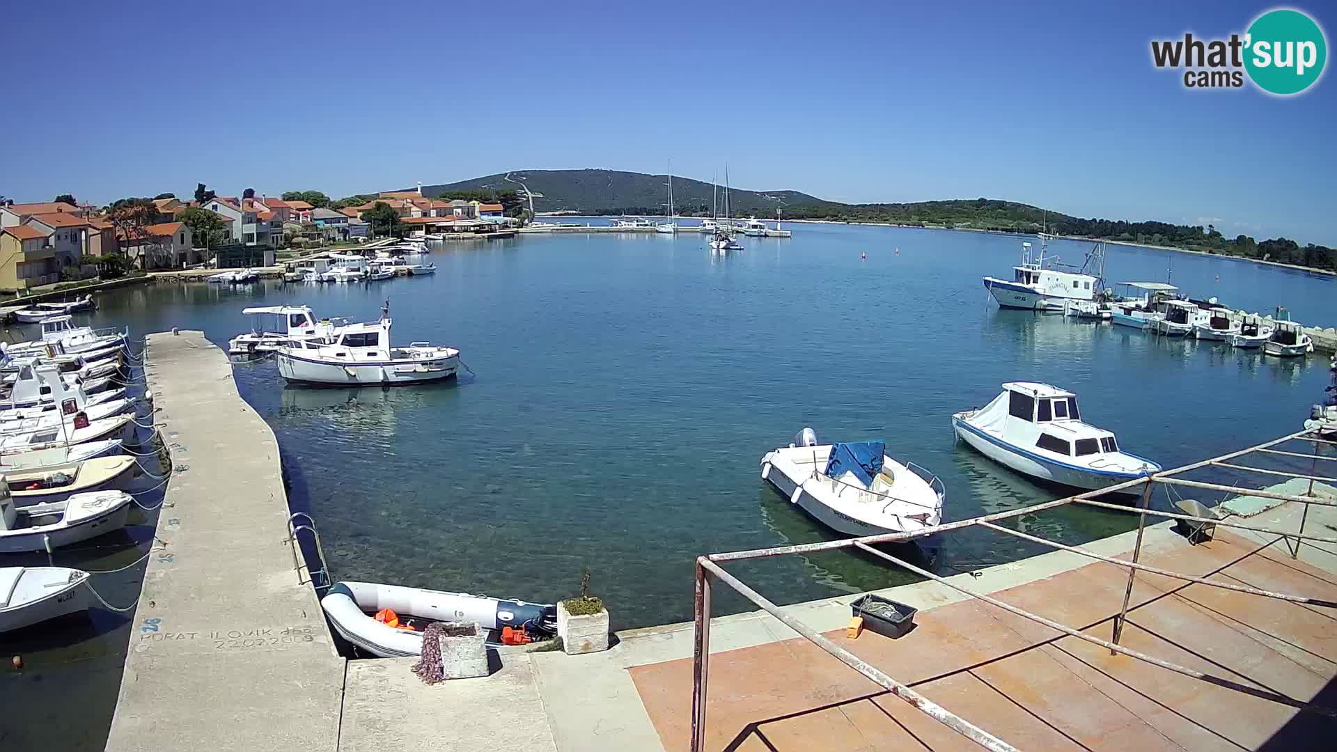 Livecam Asinello – San Piero