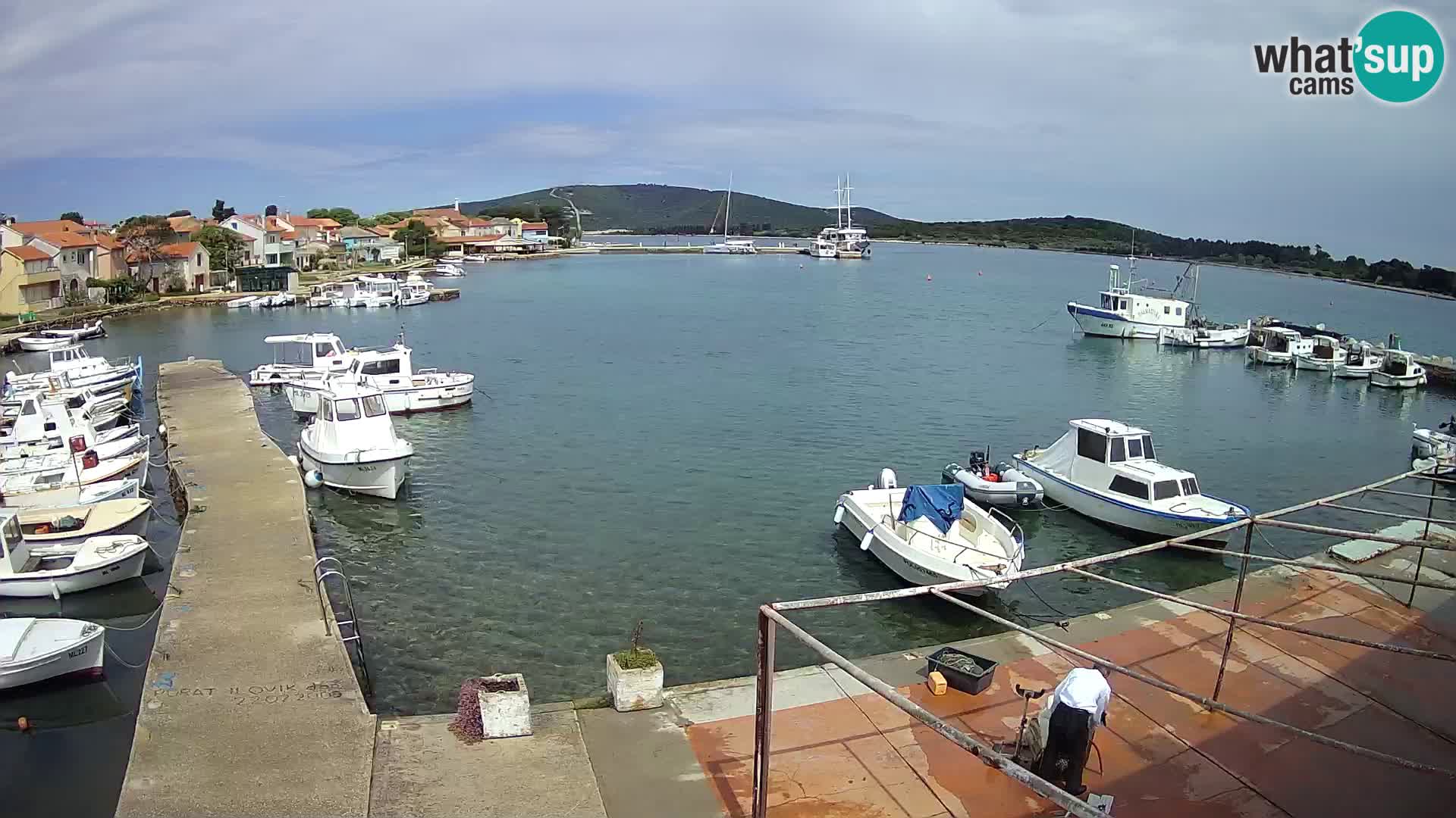 Live cam Ilovik – Sveti Petar