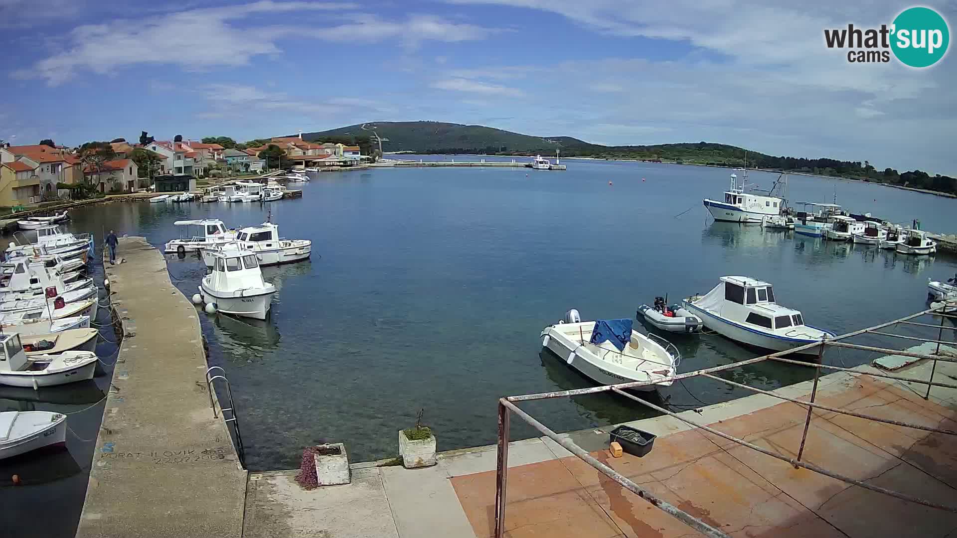 Livecam Asinello – San Piero