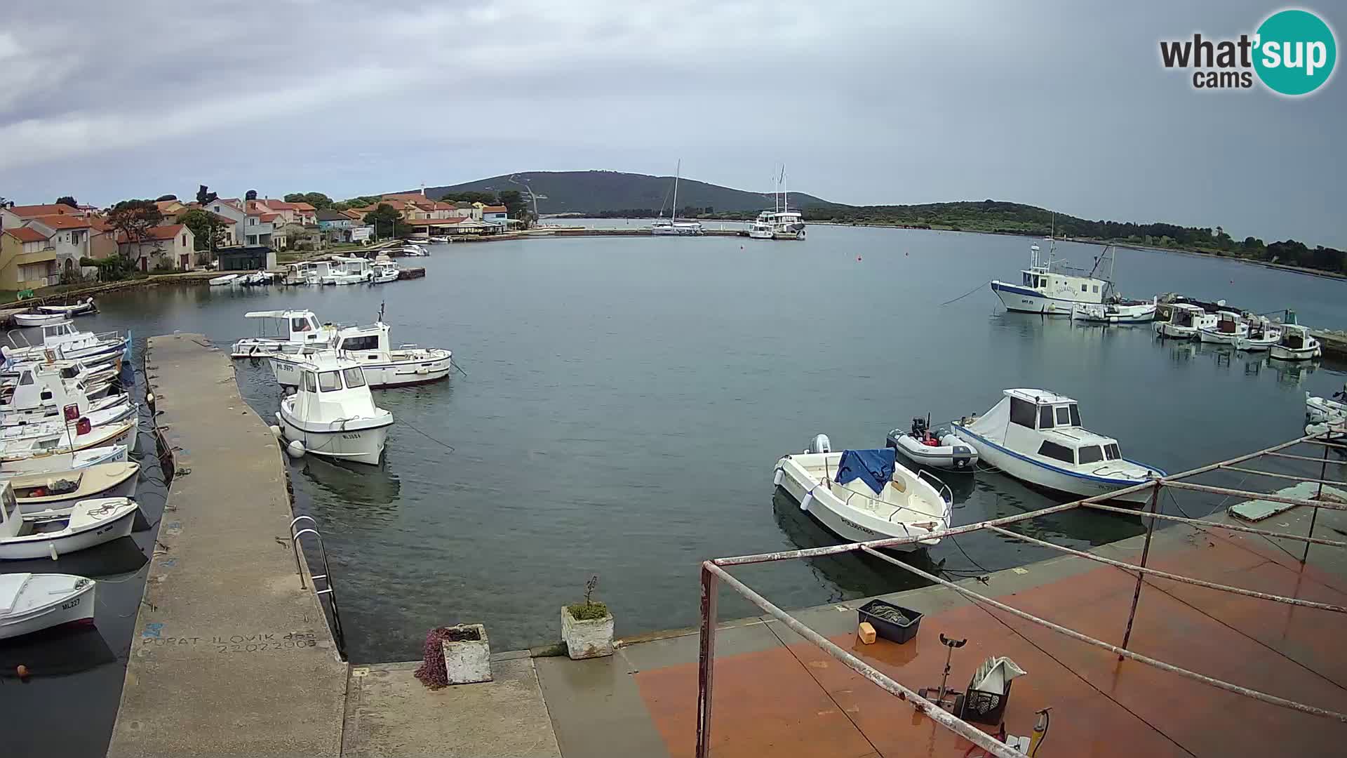 Livecam Asinello – San Piero