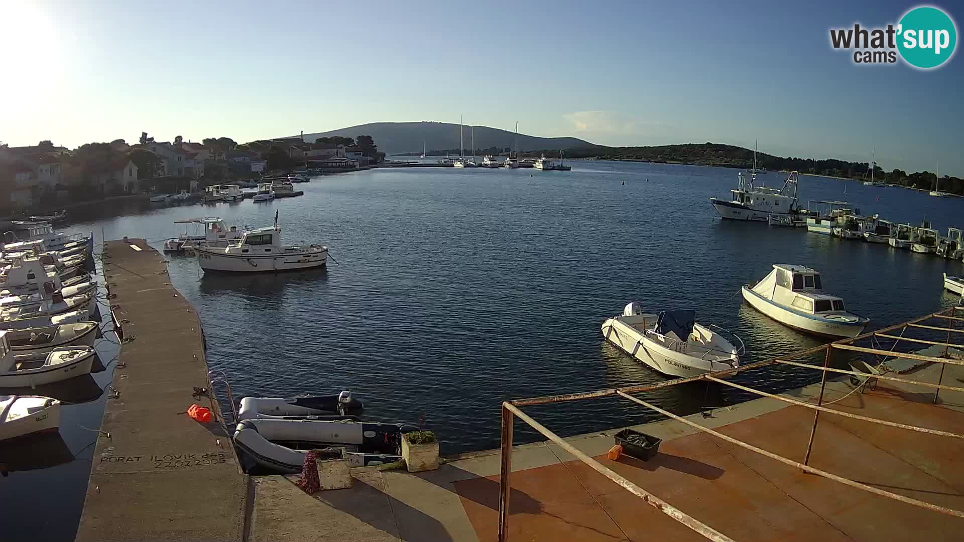 Livecam Asinello – San Piero